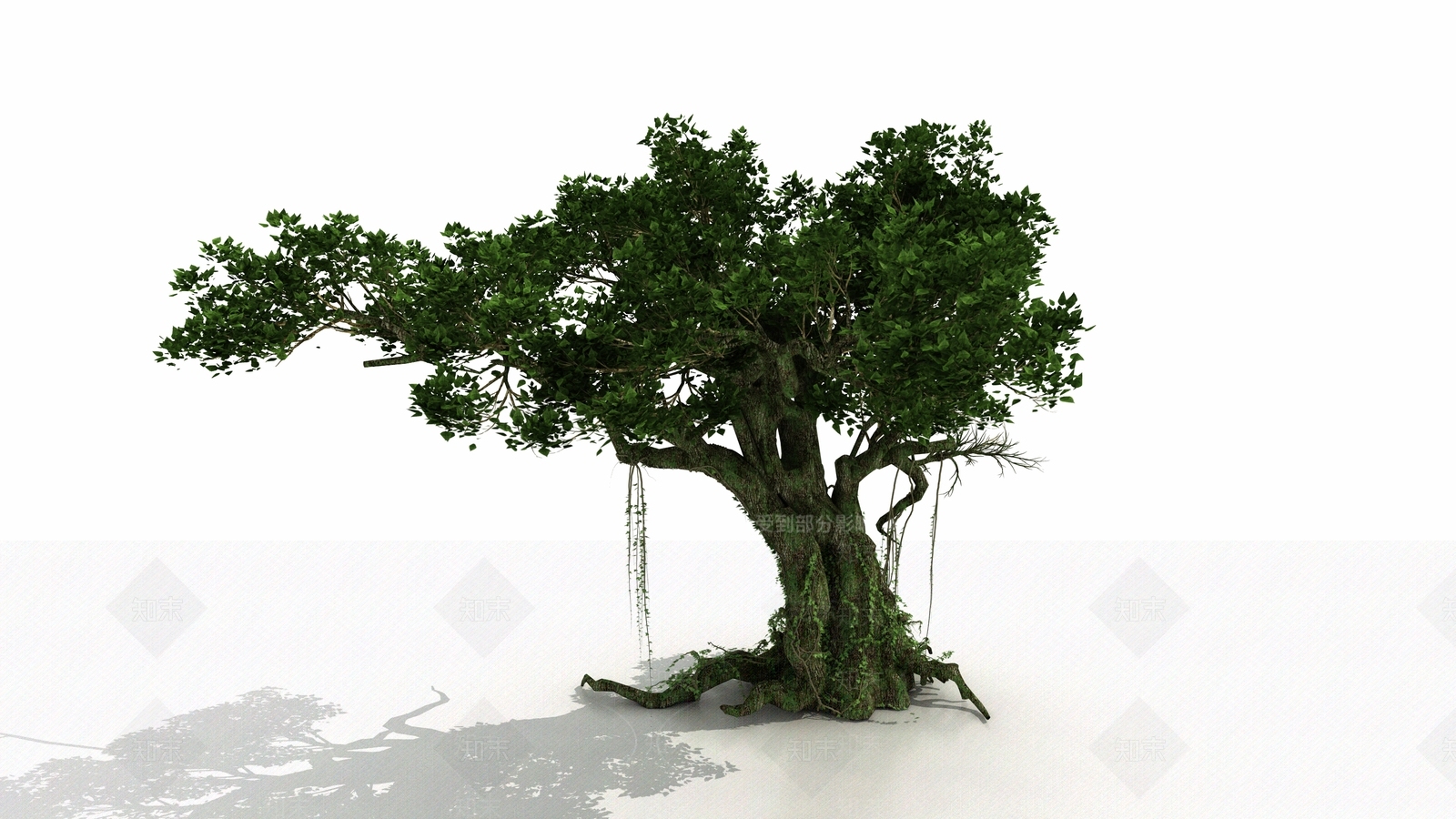 古树3D模型下载【ID:1161418559】