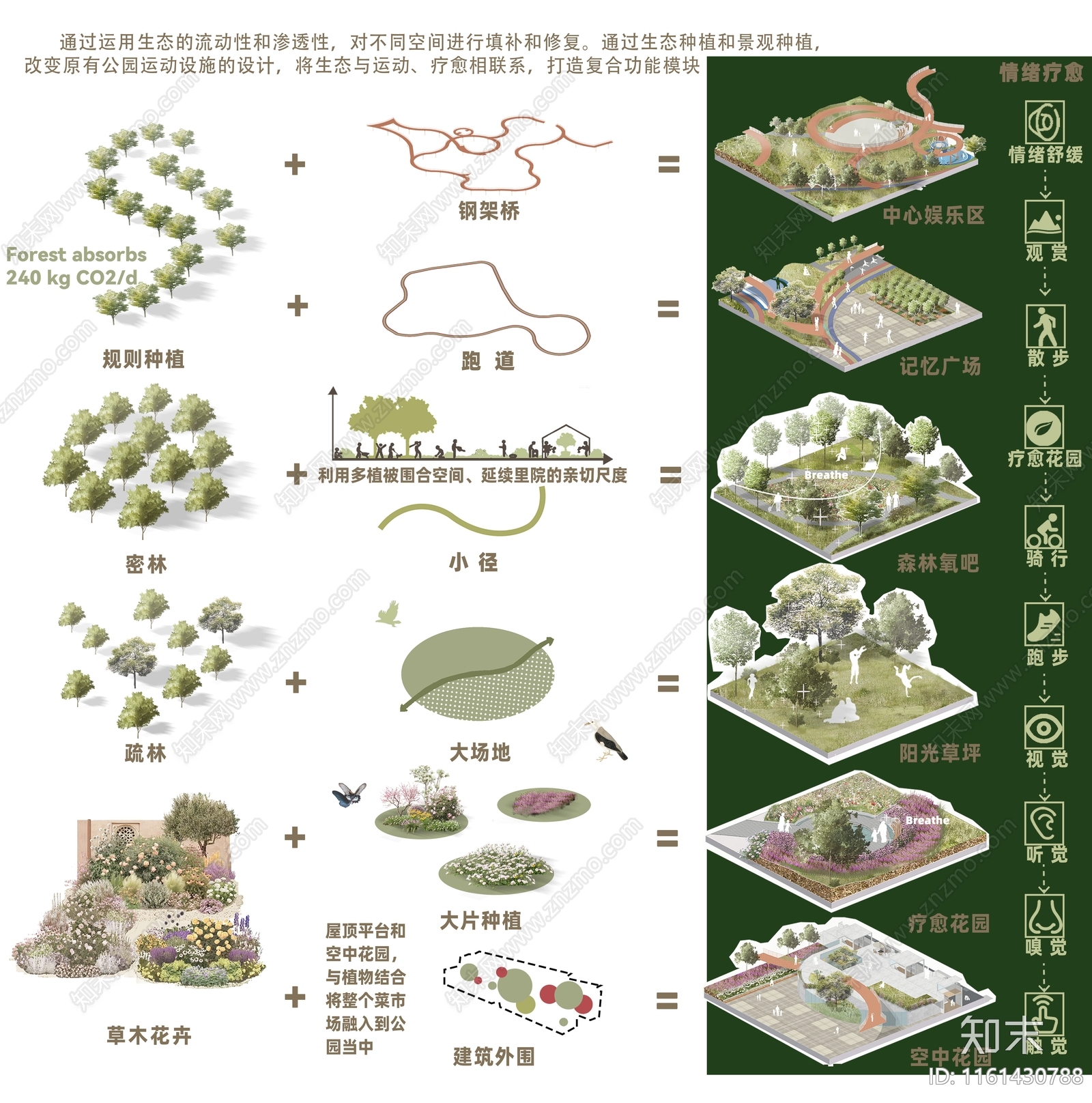 植物分析图设计素材精品下载_知末网