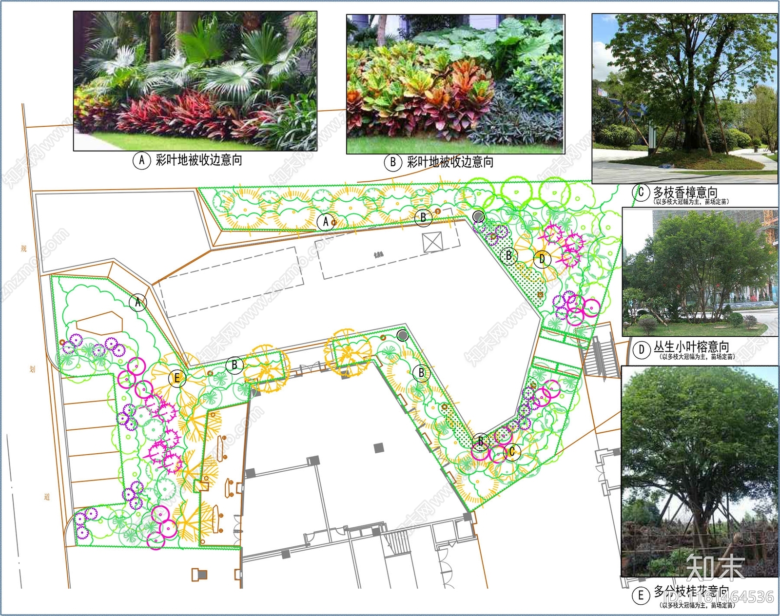 景观绿化植物平面图施工图下载【ID:1161464536】