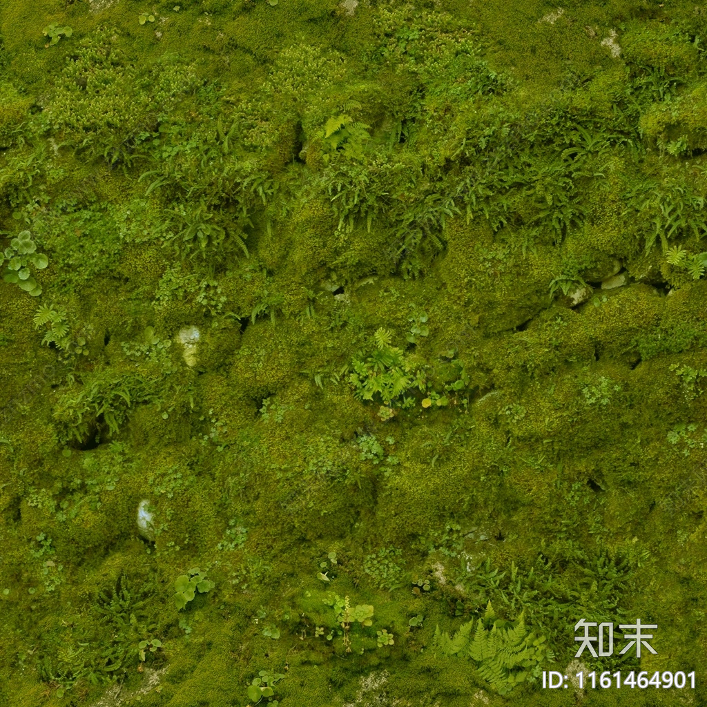 无缝苔藓植被绿植墙贴图下载【ID:1161464901】