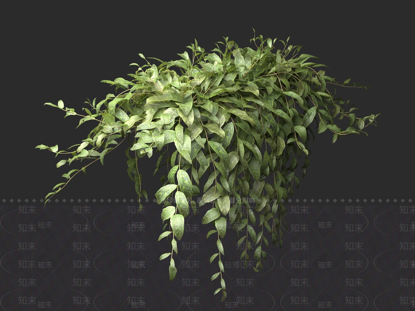 现代盆景3D模型下载【ID:1161480609】