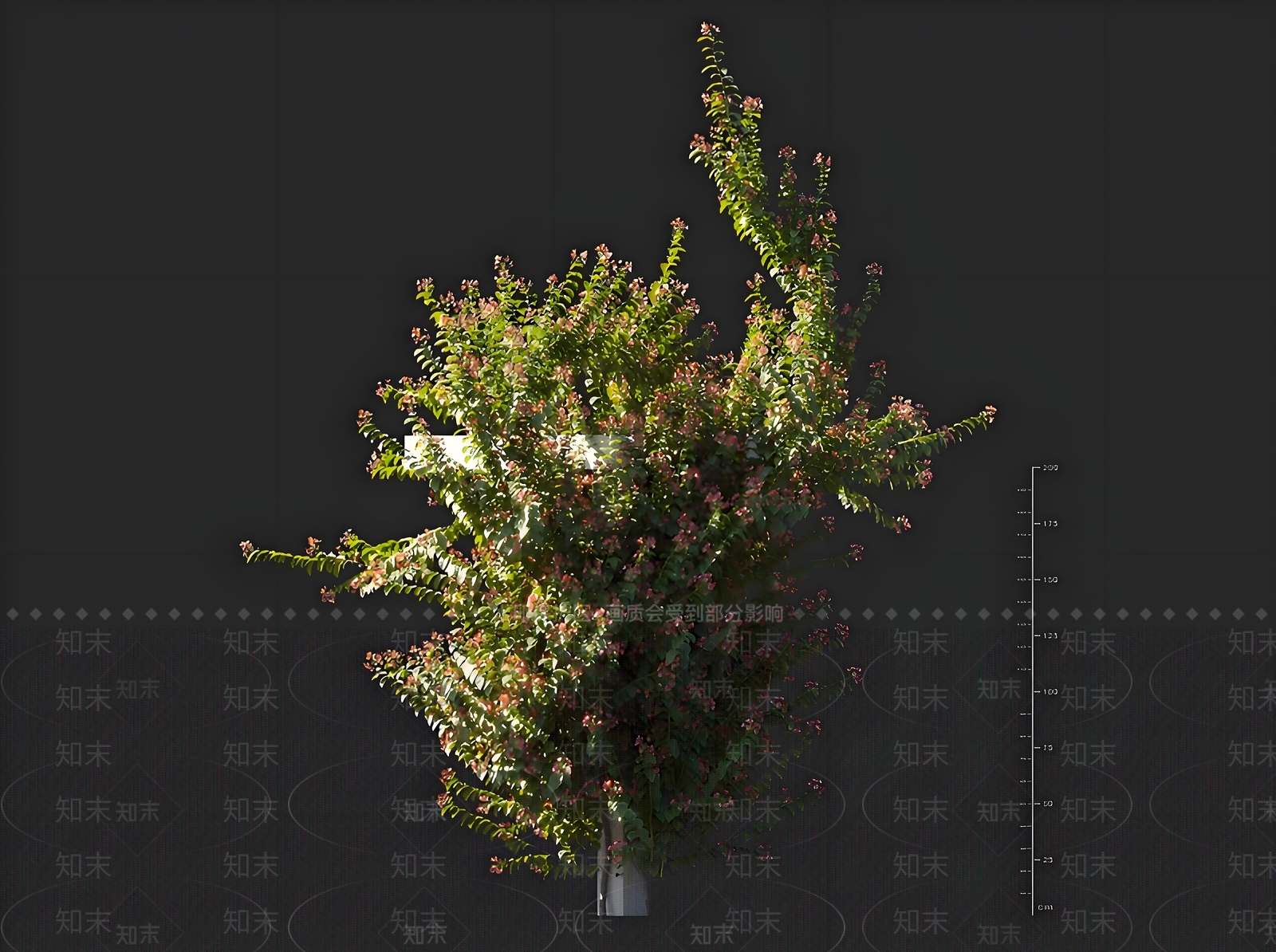 现代使君子3D模型下载【ID:1161481925】