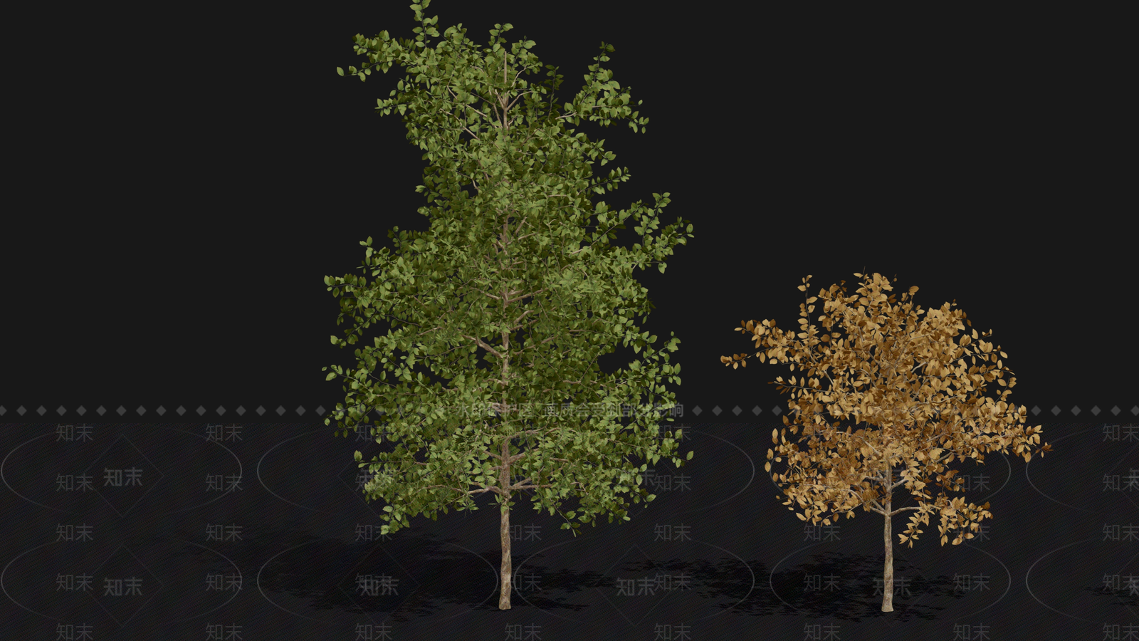 其他树木3D模型下载【ID:1161484035】