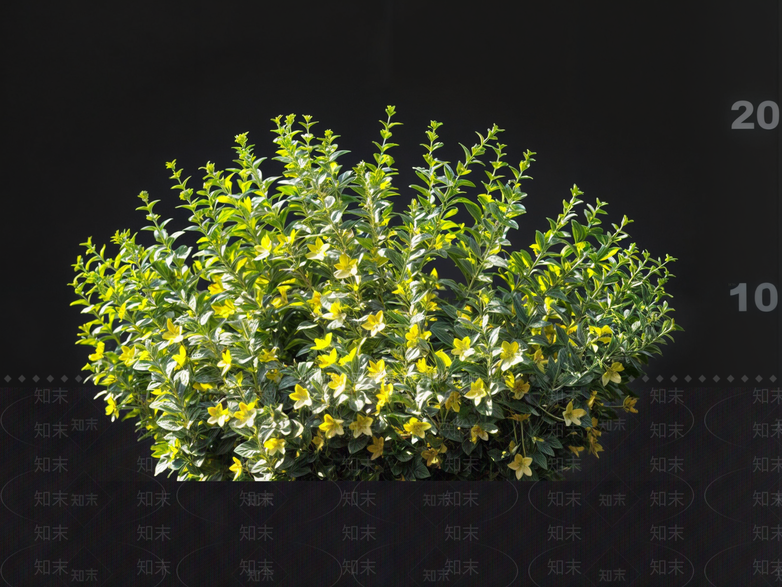 现代灌木3D模型下载【ID:1161491776】