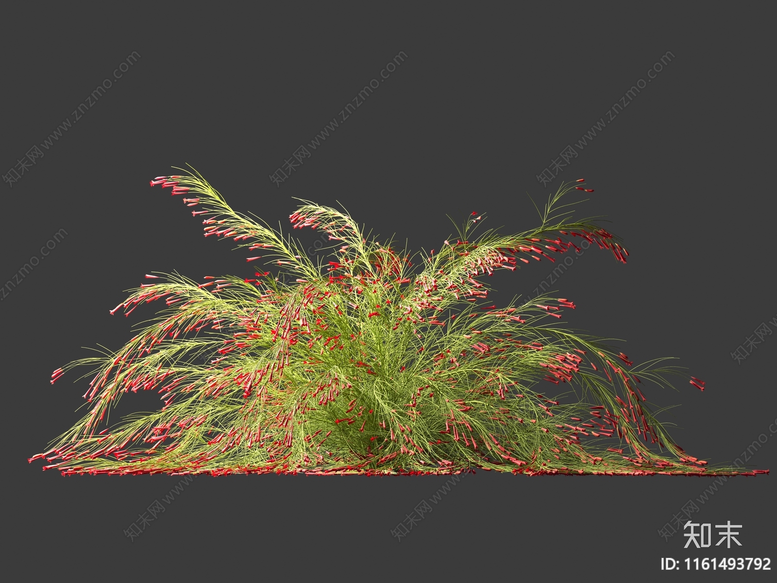 现代花草3D模型下载【ID:1161493792】