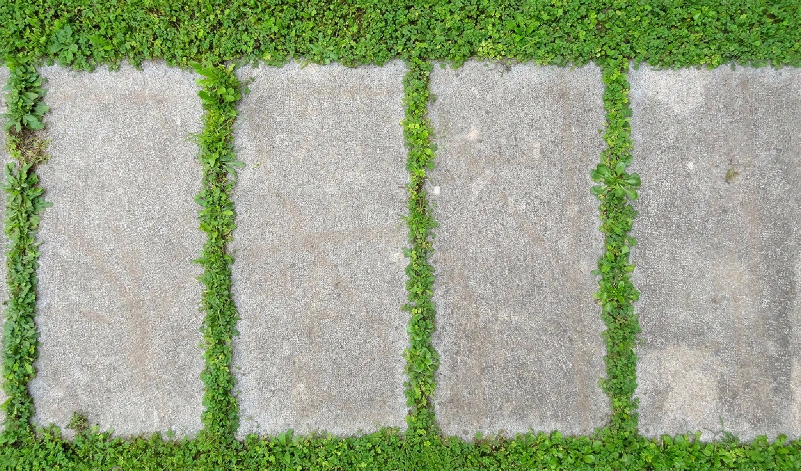 无缝公园透水砖草坪砖植草砖停车位铺装铺路贴图下载【ID:1161506046】