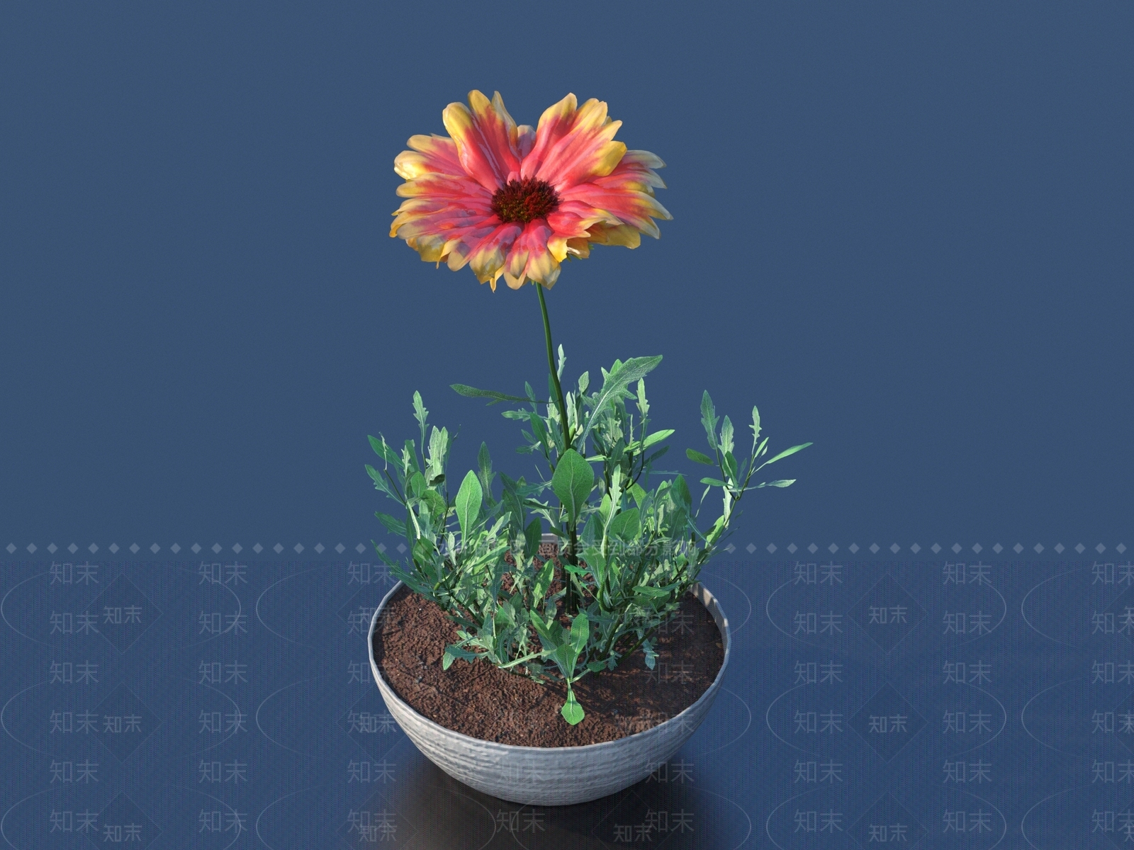 花卉3D模型下载【ID:1161507277】