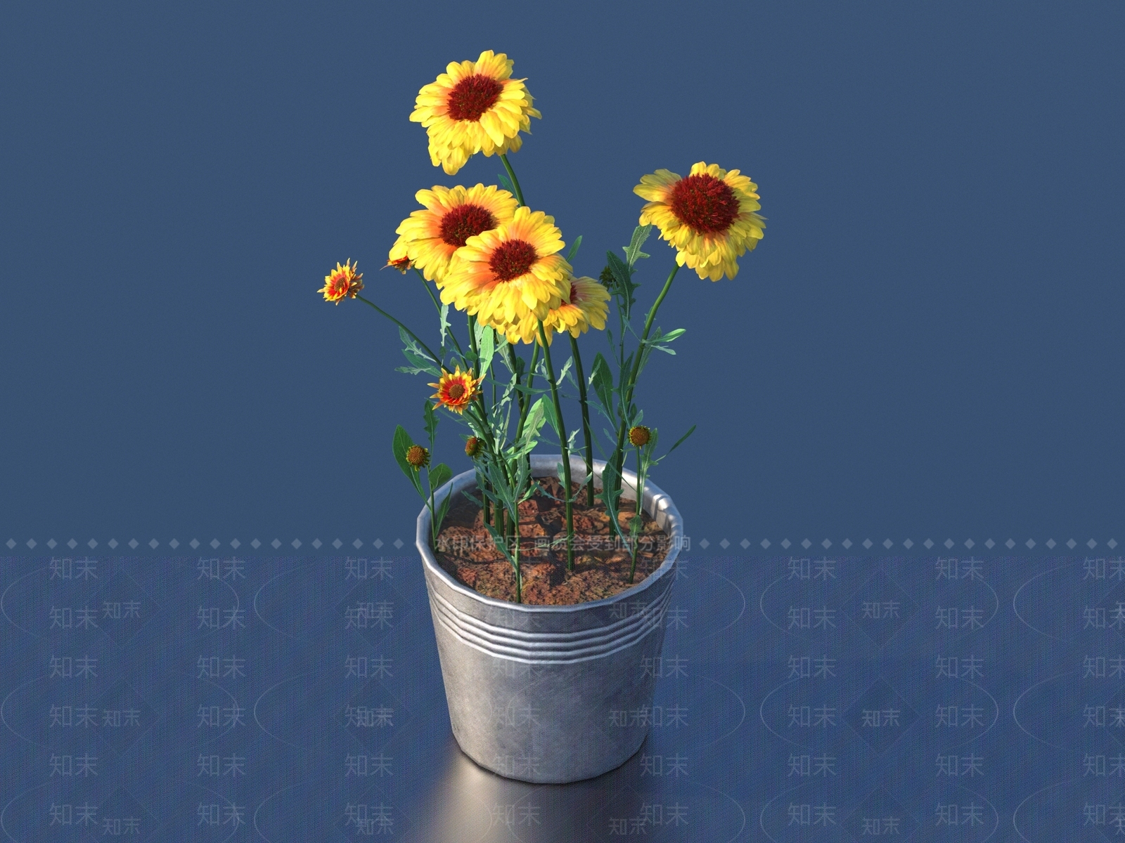 花卉3D模型下载【ID:1161509154】