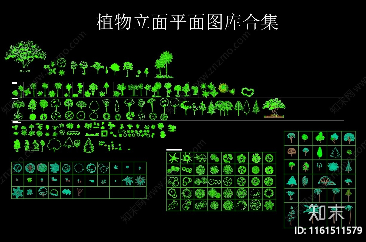 植物立面平面图库合集施工图下载【ID:1161511579】