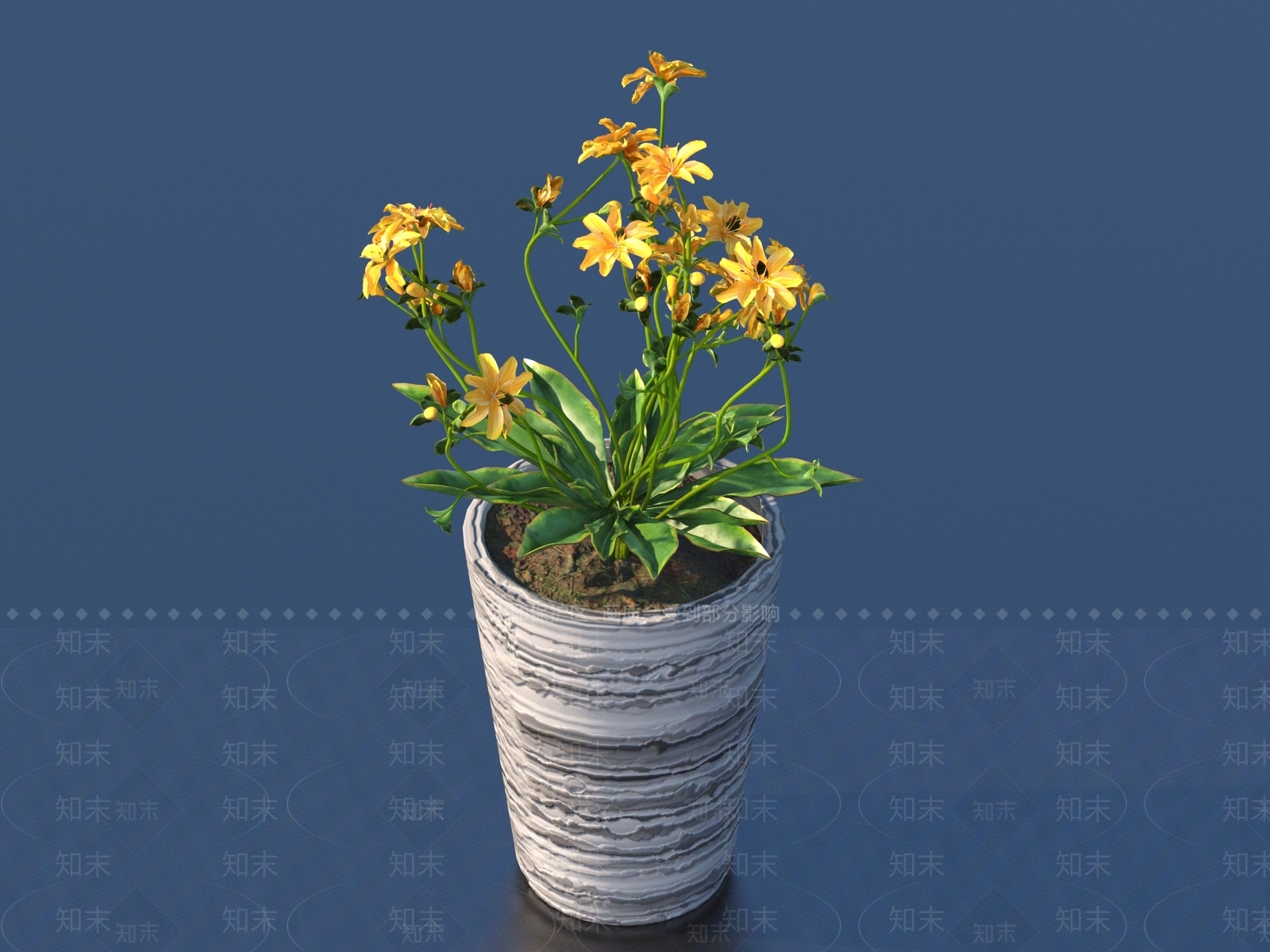 花卉3D模型下载【ID:1161522451】