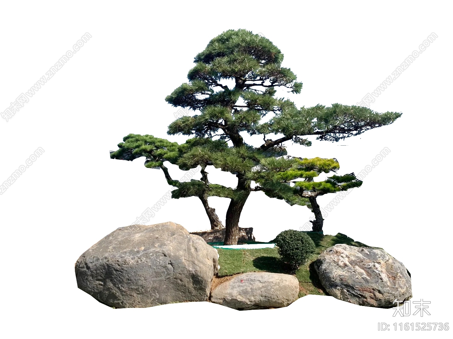 乔木设计素材精品下载_知末网