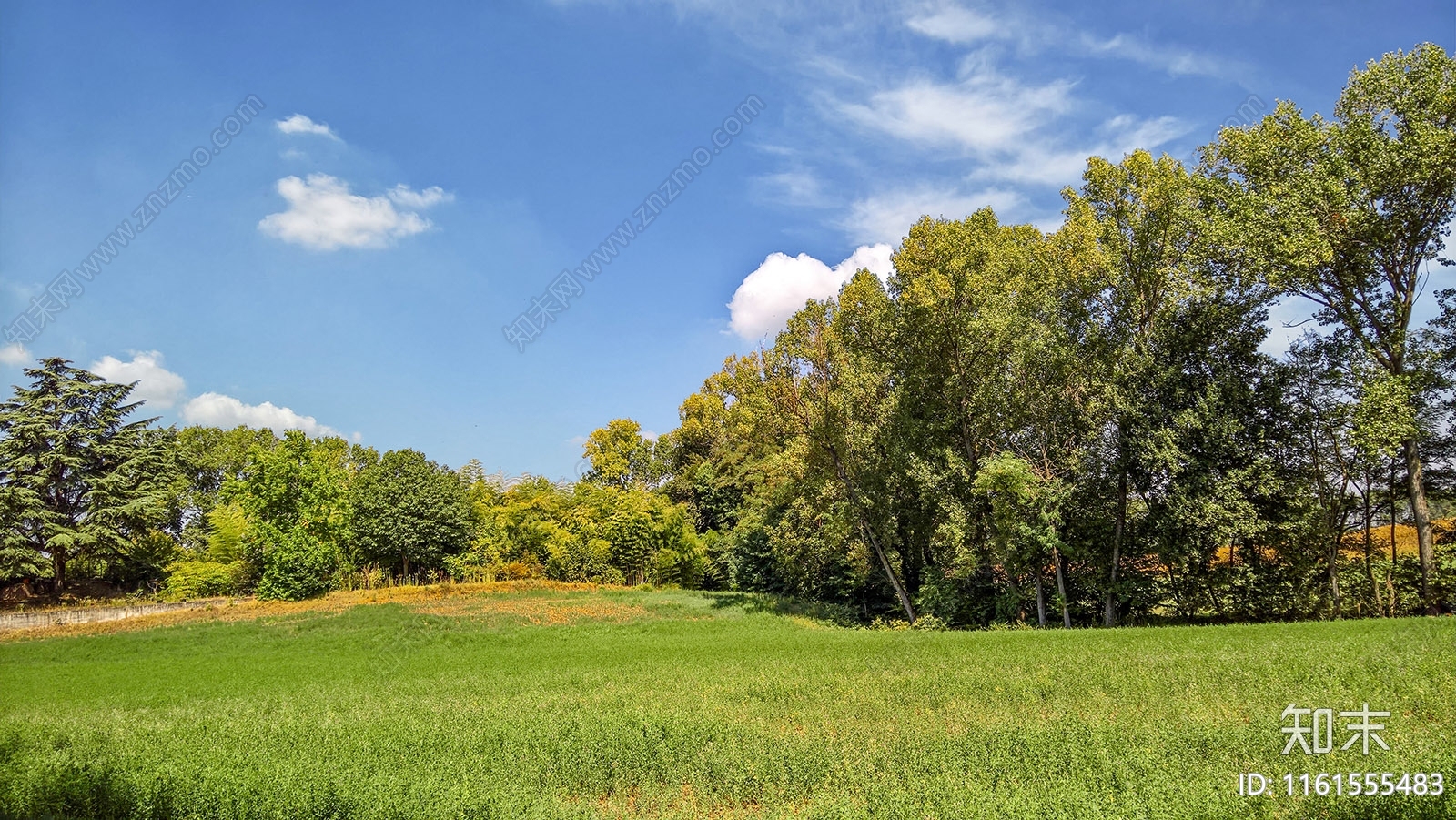 多云的蓝色天空乡村景观风景贴图下载【ID:1161555483】