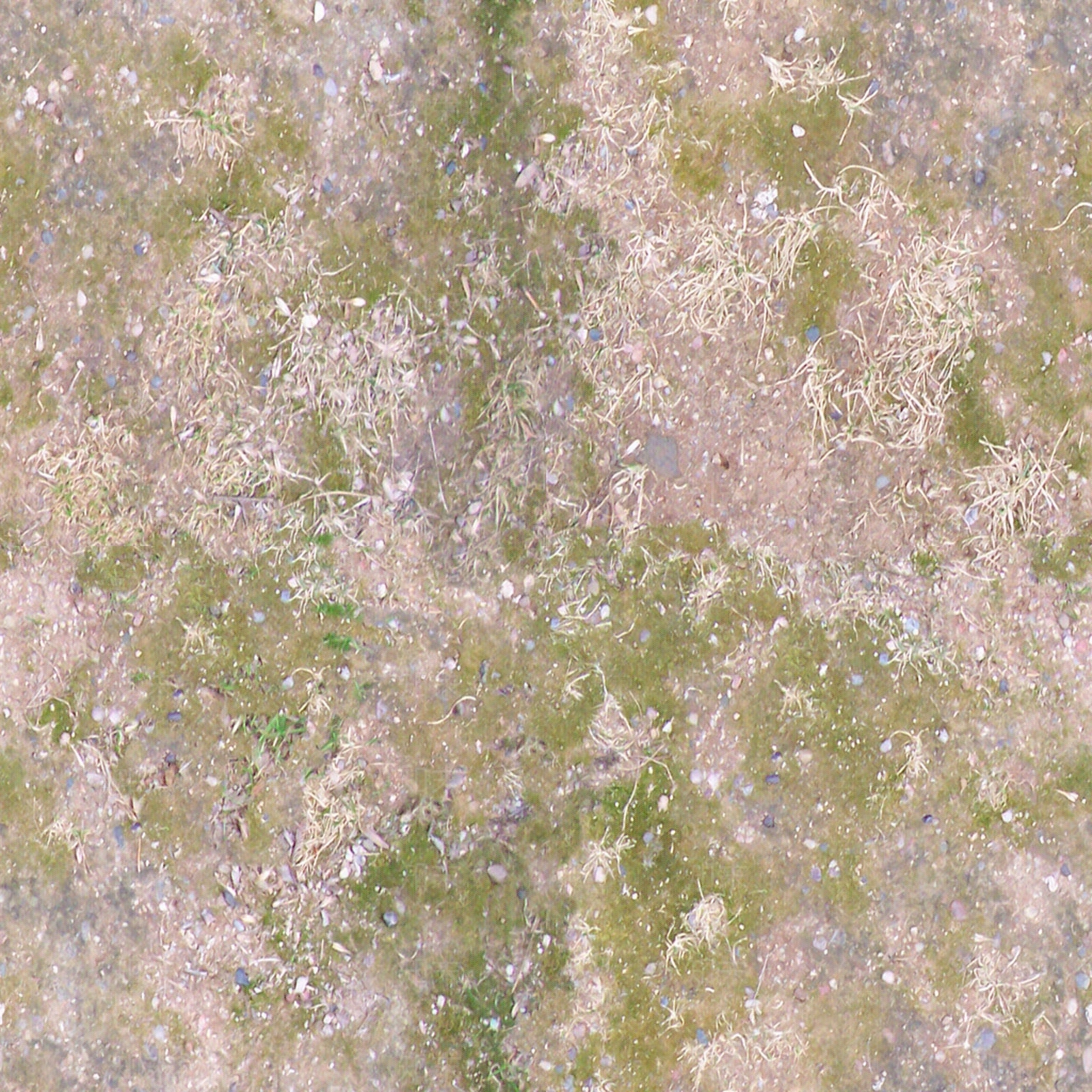 无缝枯黄枯枝落叶树叶草皮草地草坪道路地面贴图下载【ID:1161558054】