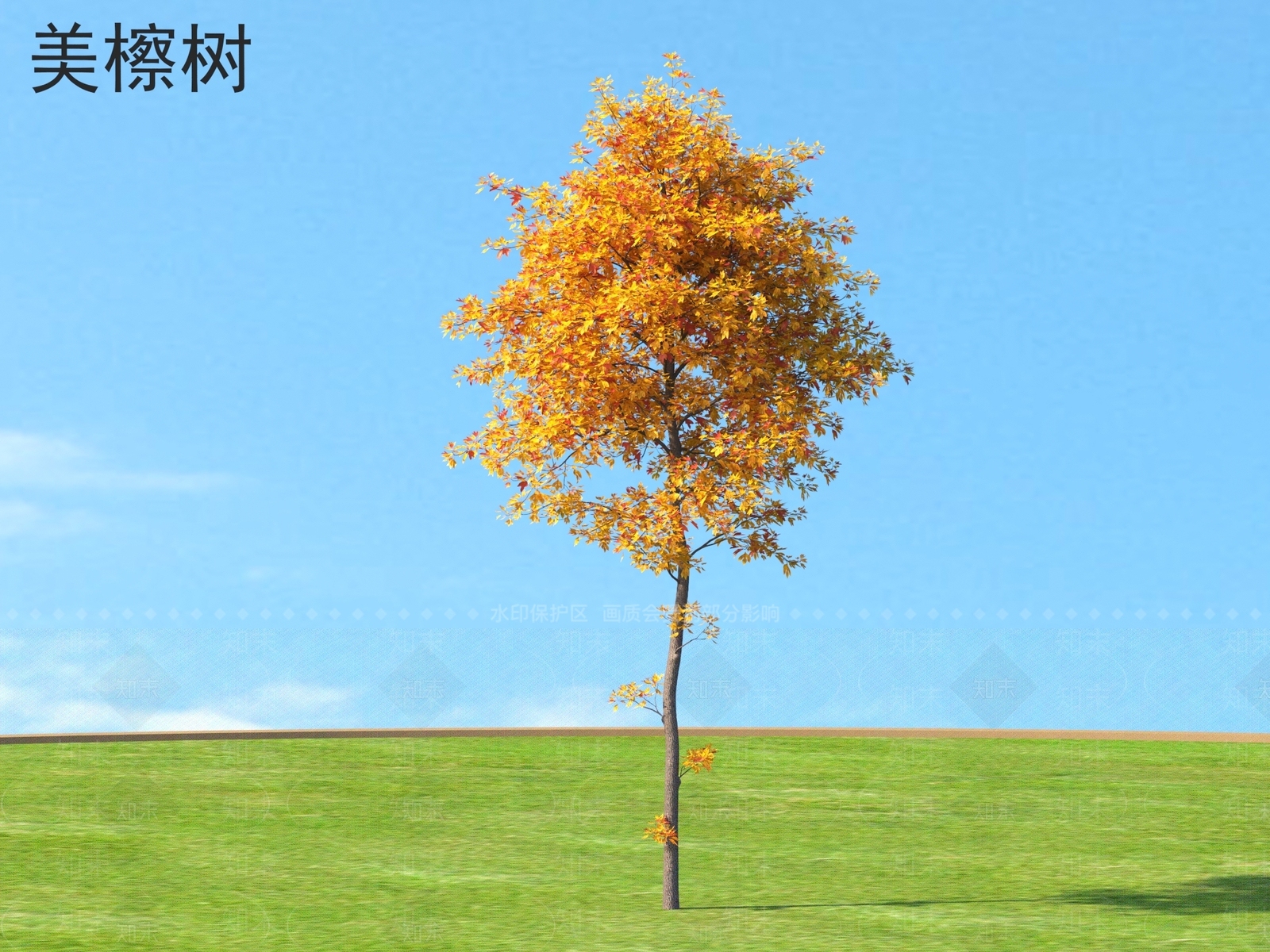景观树3D模型下载【ID:1161577576】