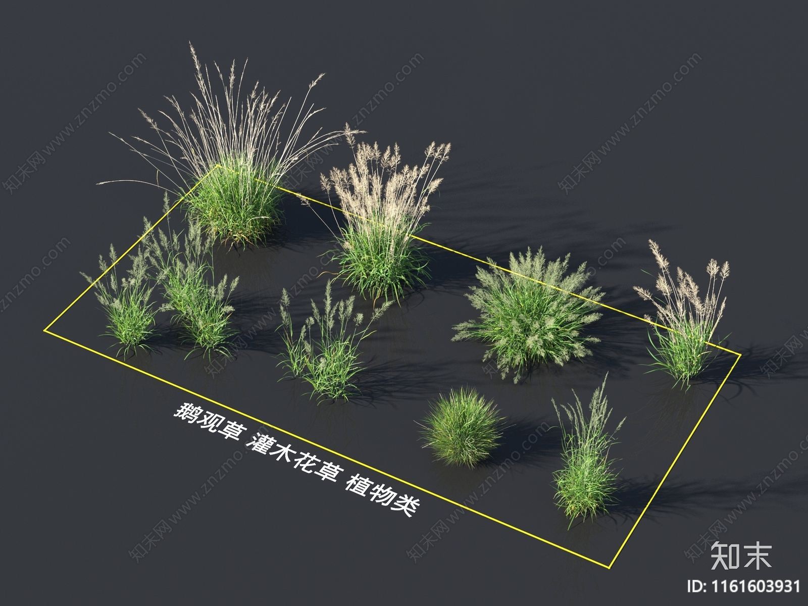 草3D模型下载【ID:1161603931】