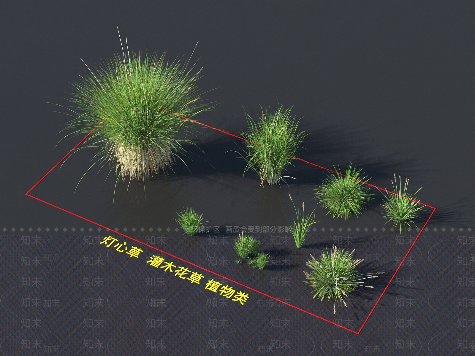 灯心草3D模型下载【ID:1161604744】