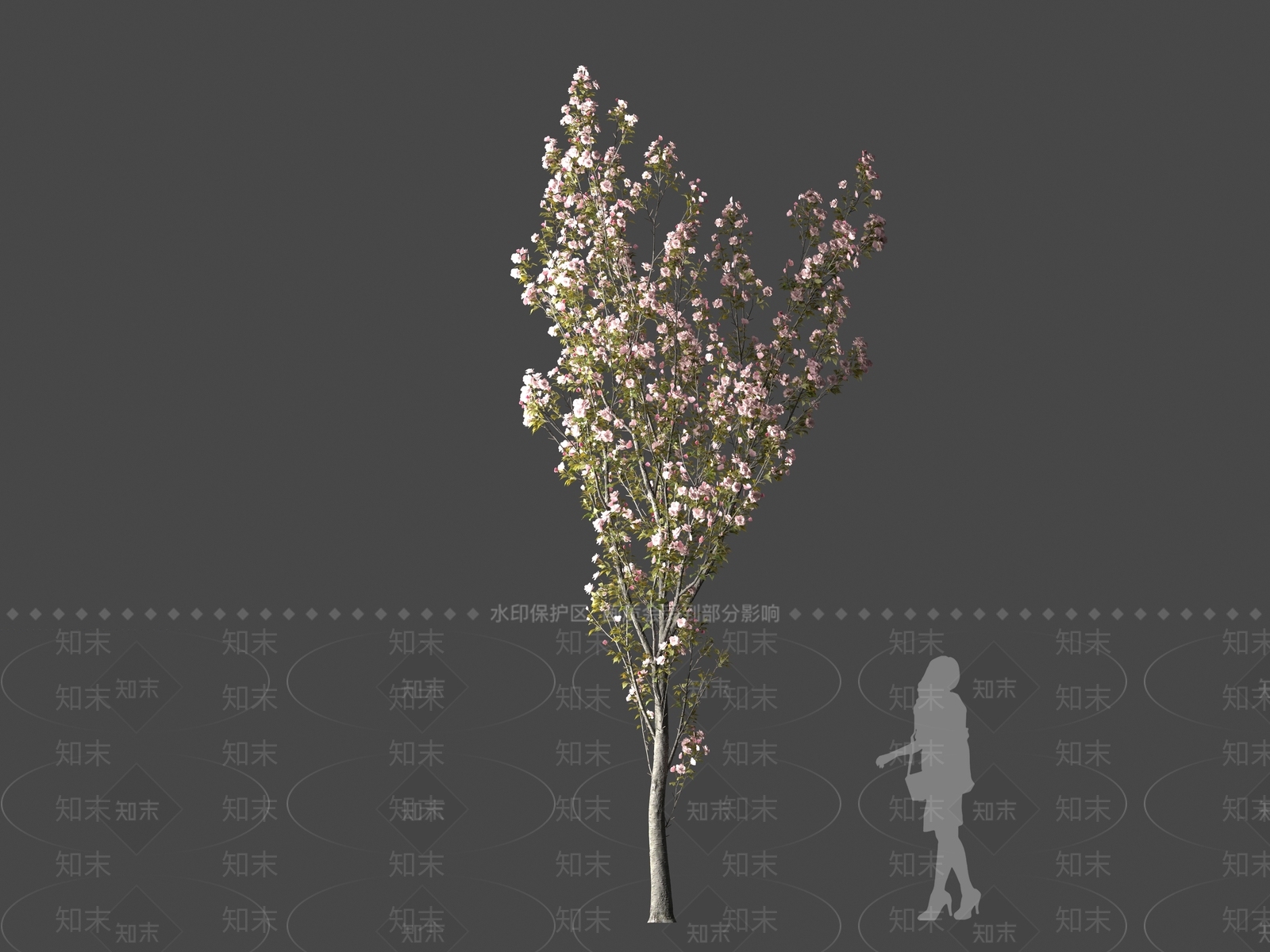 景观树3D模型下载【ID:1161615193】