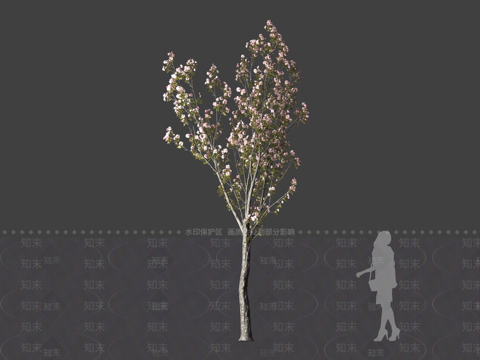 樱花树3D模型下载【ID:1161615210】
