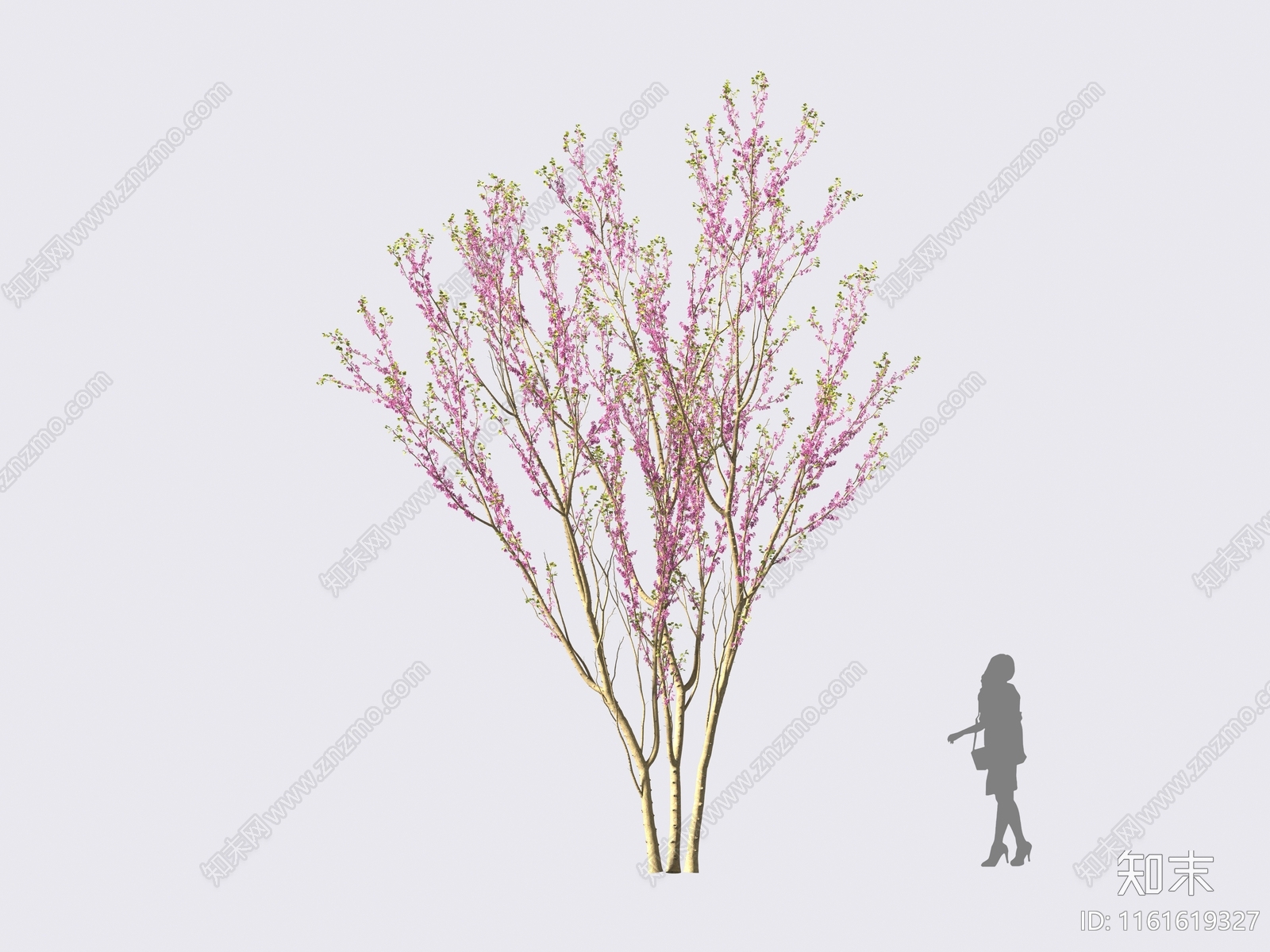 景观树3D模型下载【ID:1161619327】