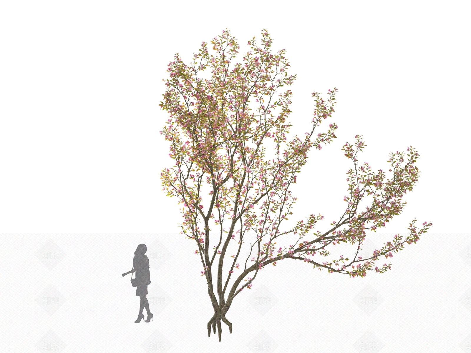 景观树3D模型下载【ID:1161620915】