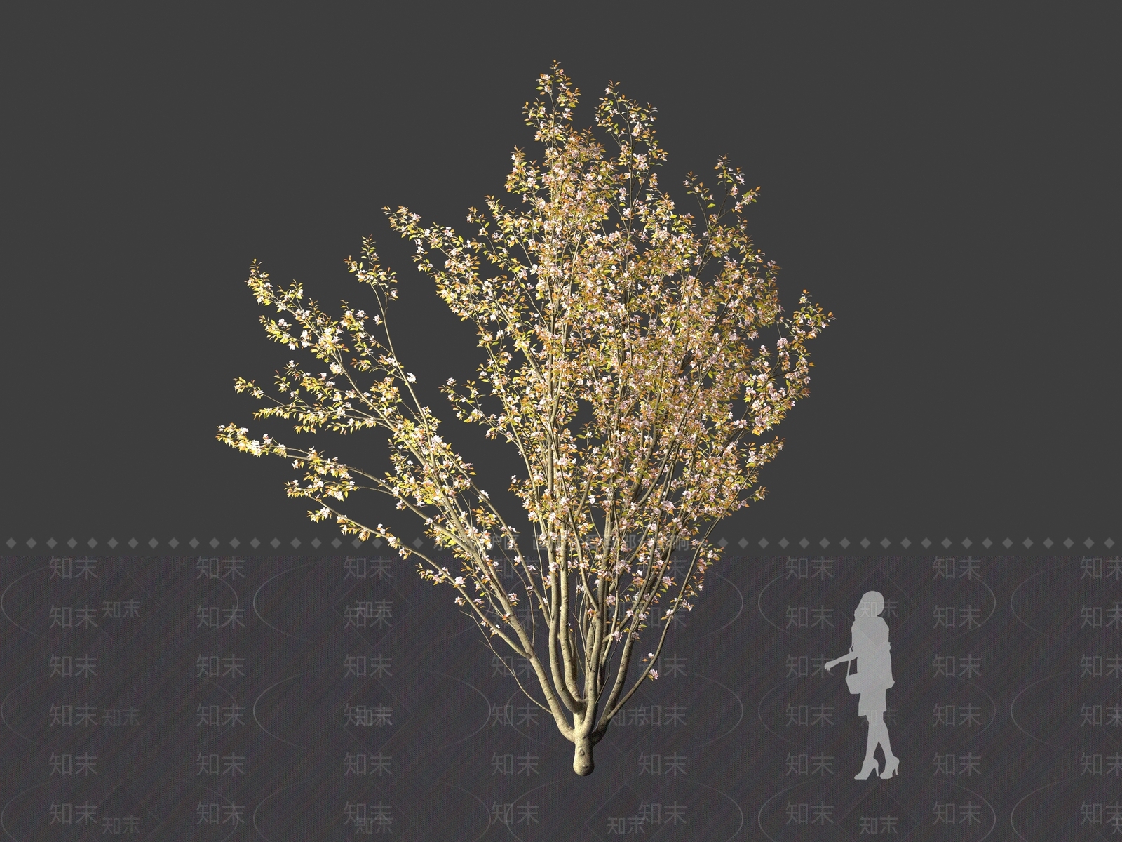 现代垂丝海棠3D模型下载【ID:1161621046】