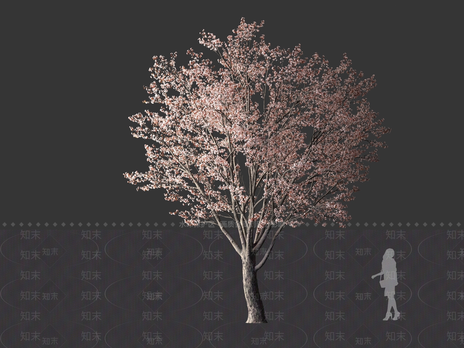 现代紫叶李3D模型下载【ID:1161621429】