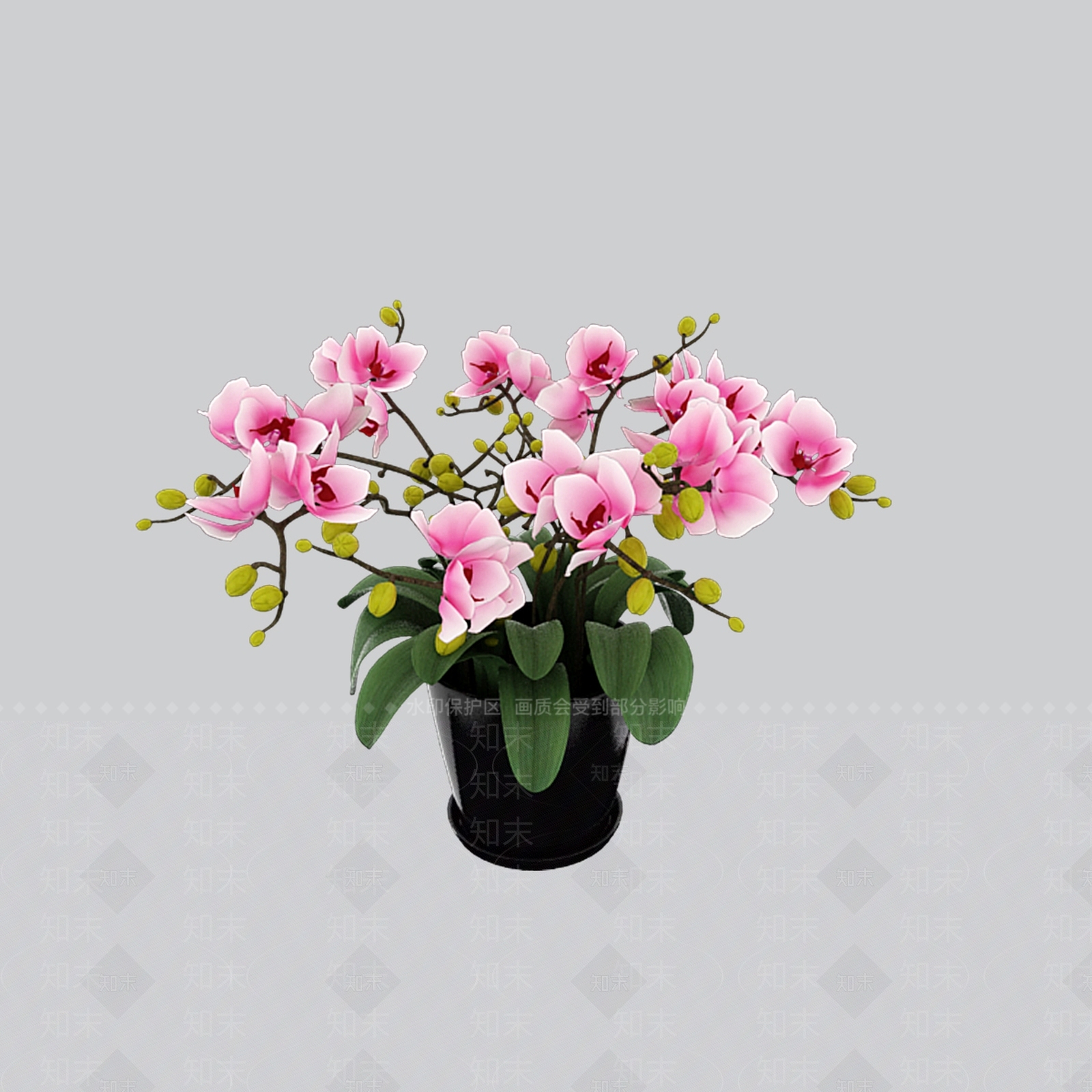 盆栽花卉3D模型下载【ID:1161675209】