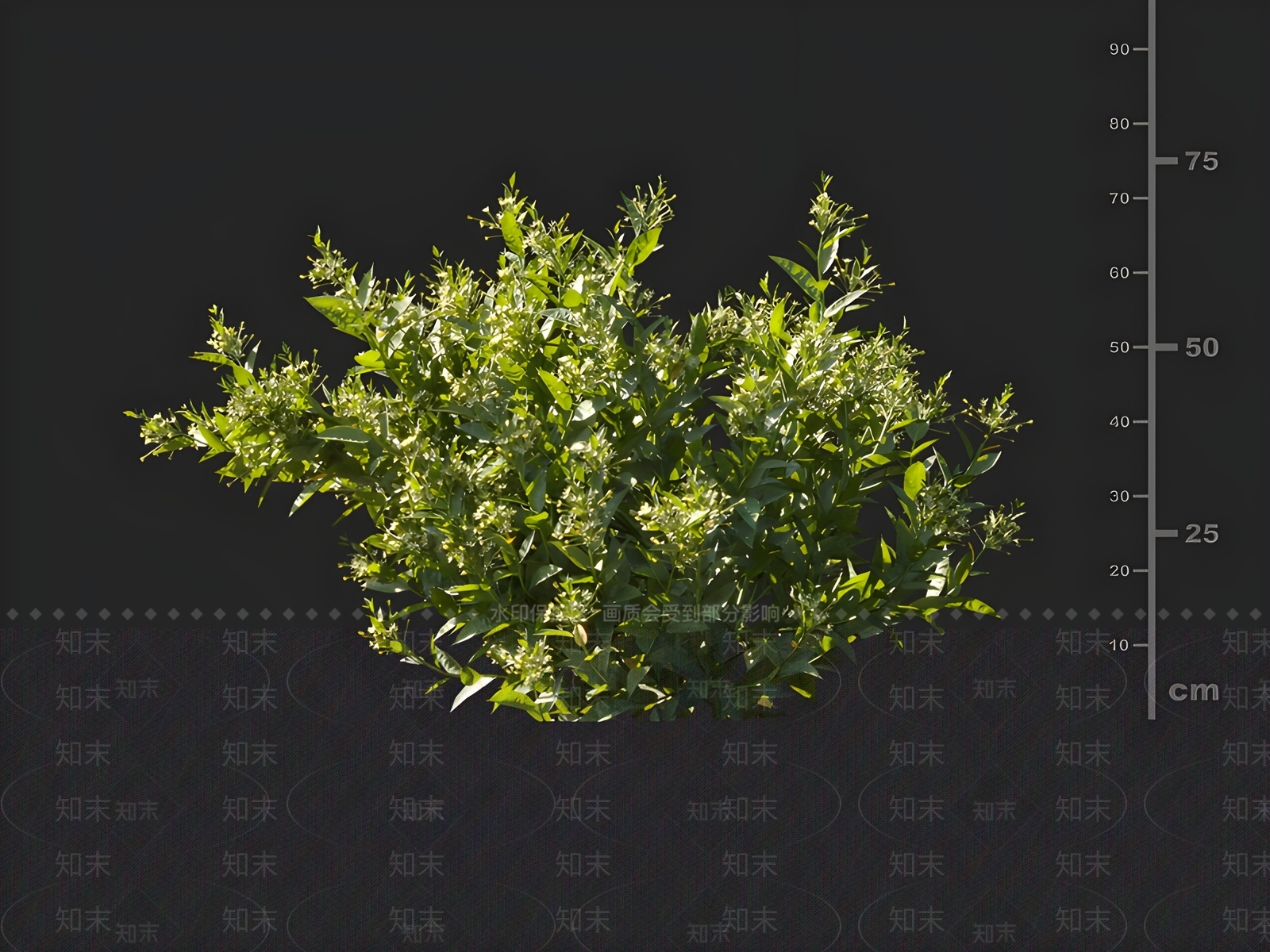 灌木3D模型下载【ID:1161722138】