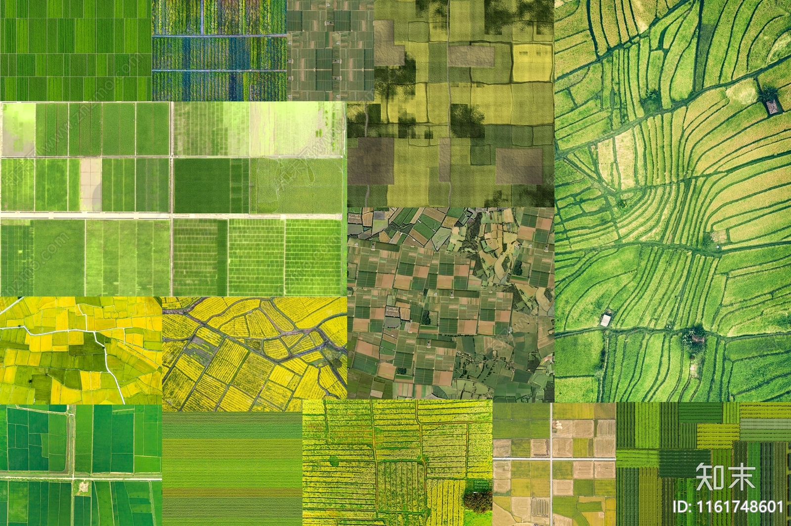 免抠稻田菜地素材psd下载【ID:1161748601】