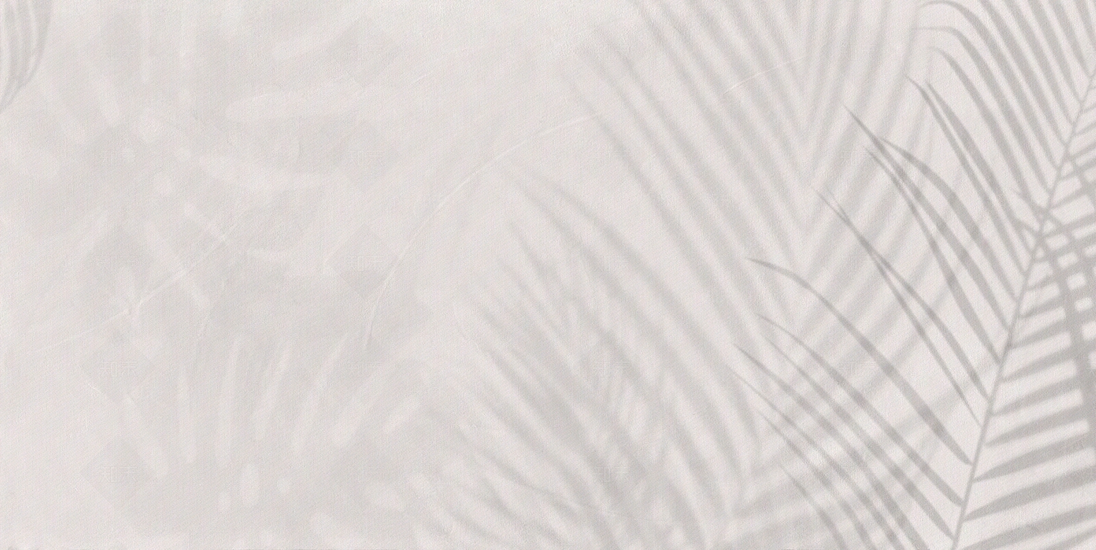 灰色叶子植物壁纸贴图下载【ID:1161757644】