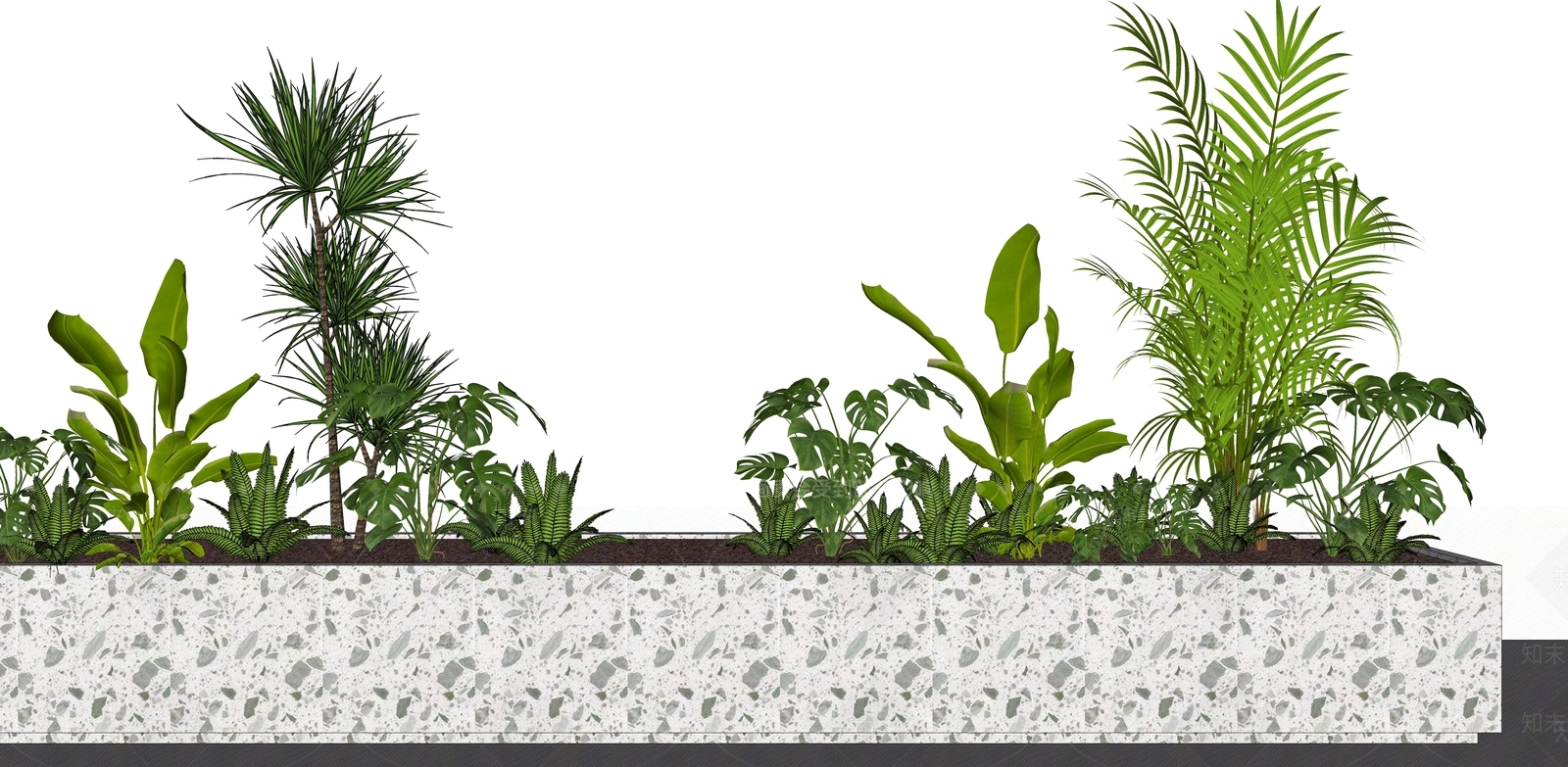 热带绿植花槽组合SU模型下载【ID:1161771246】