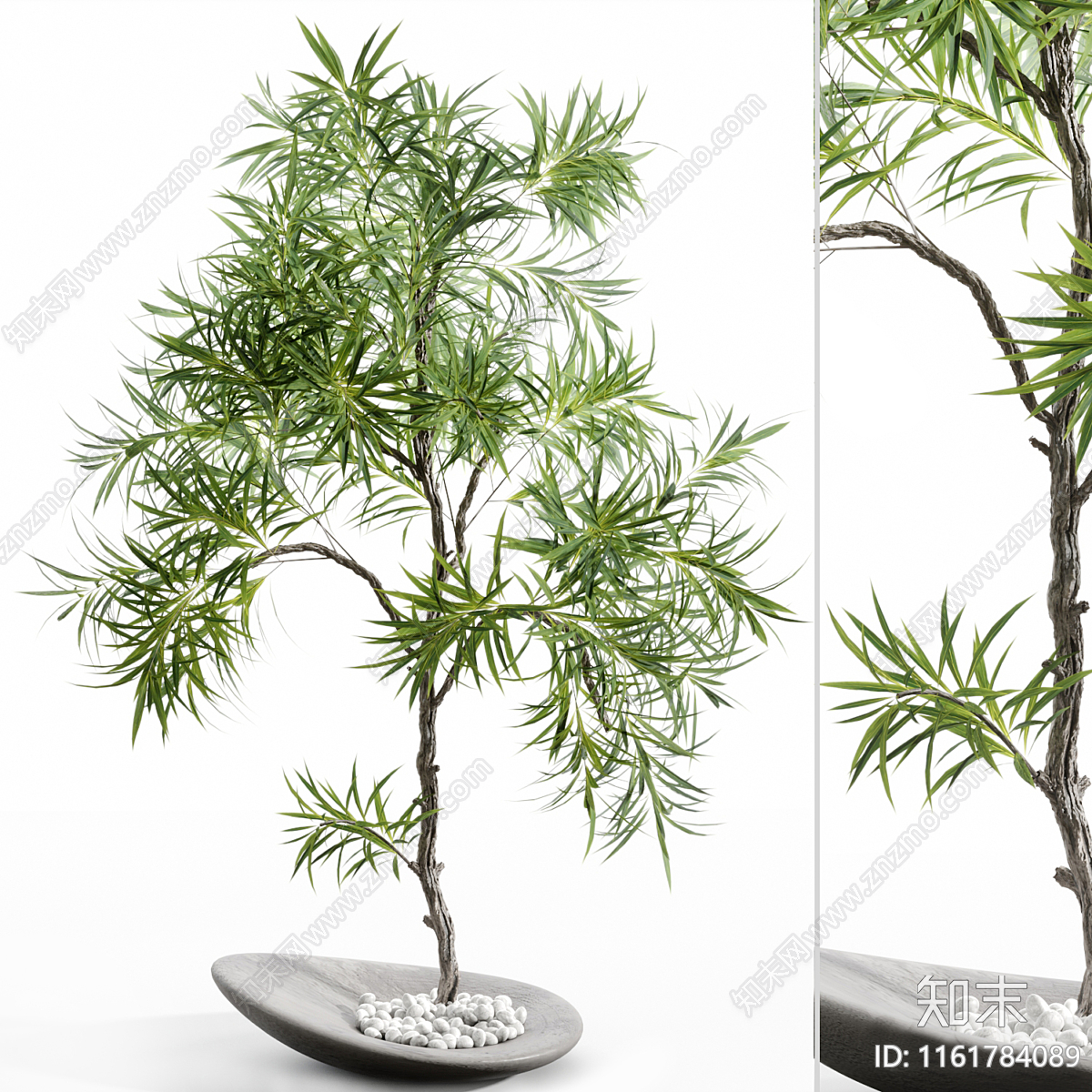 绿植盆栽3D模型下载【ID:1161784089】