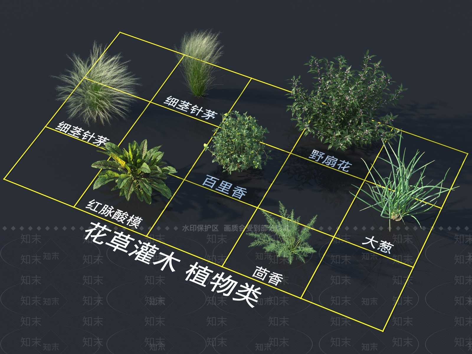 细茎针茅3D模型下载【ID:1161792717】
