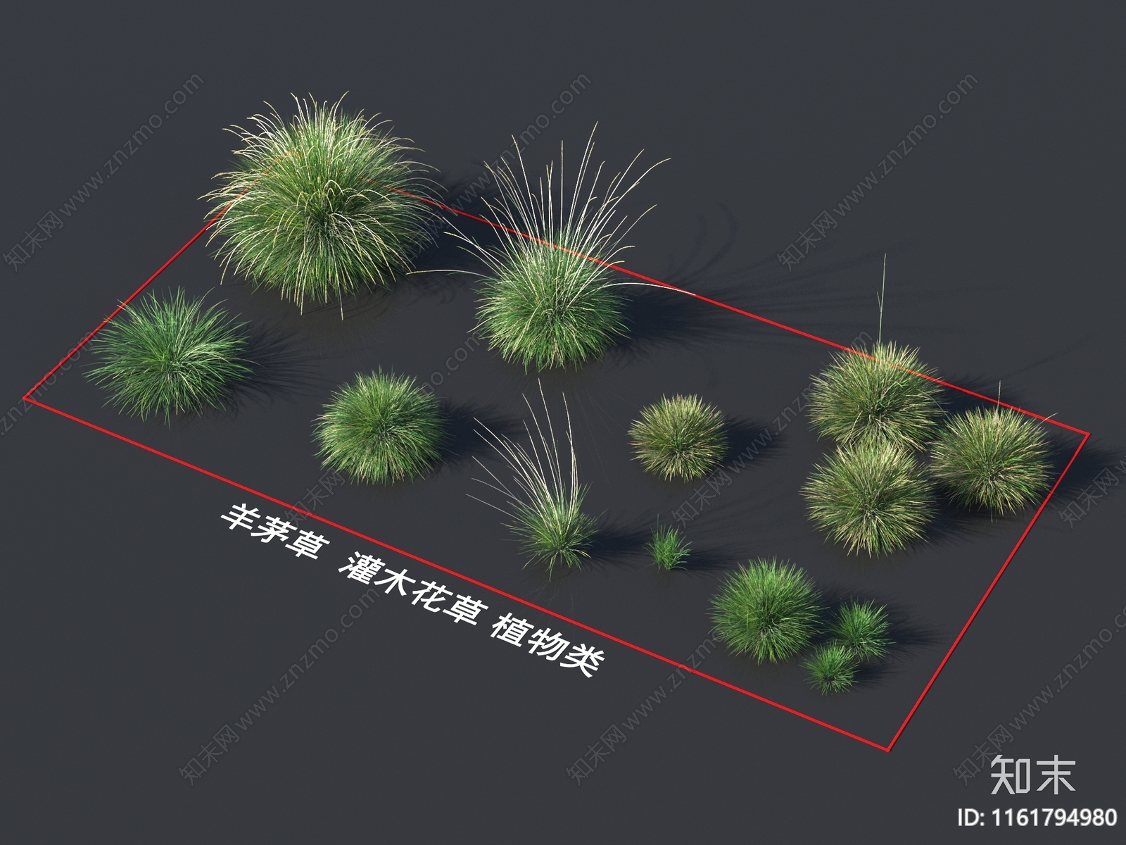 羊茅草3D模型下载【ID:1161794980】