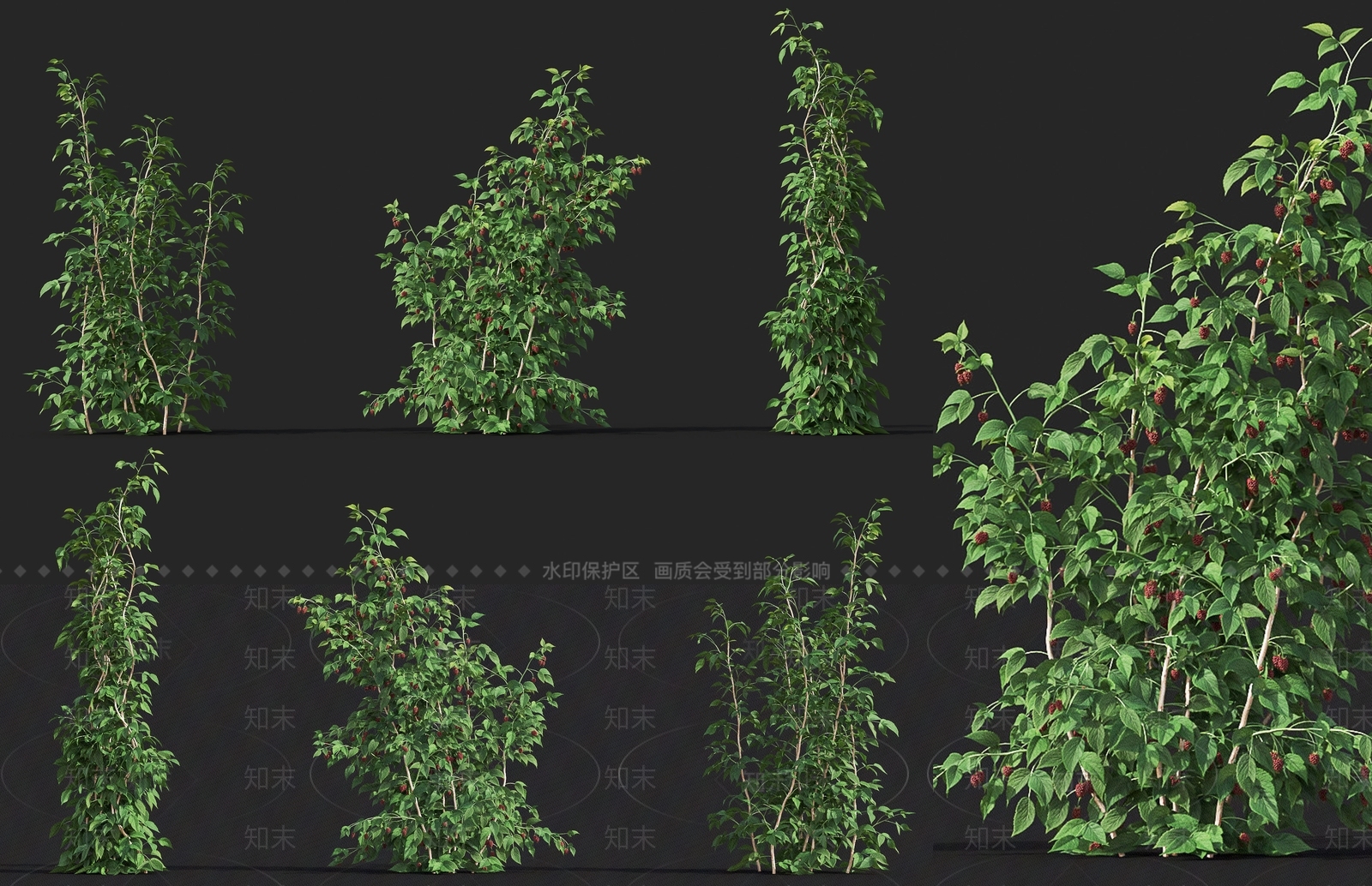 现代花园植物3D模型下载【ID:1161817672】