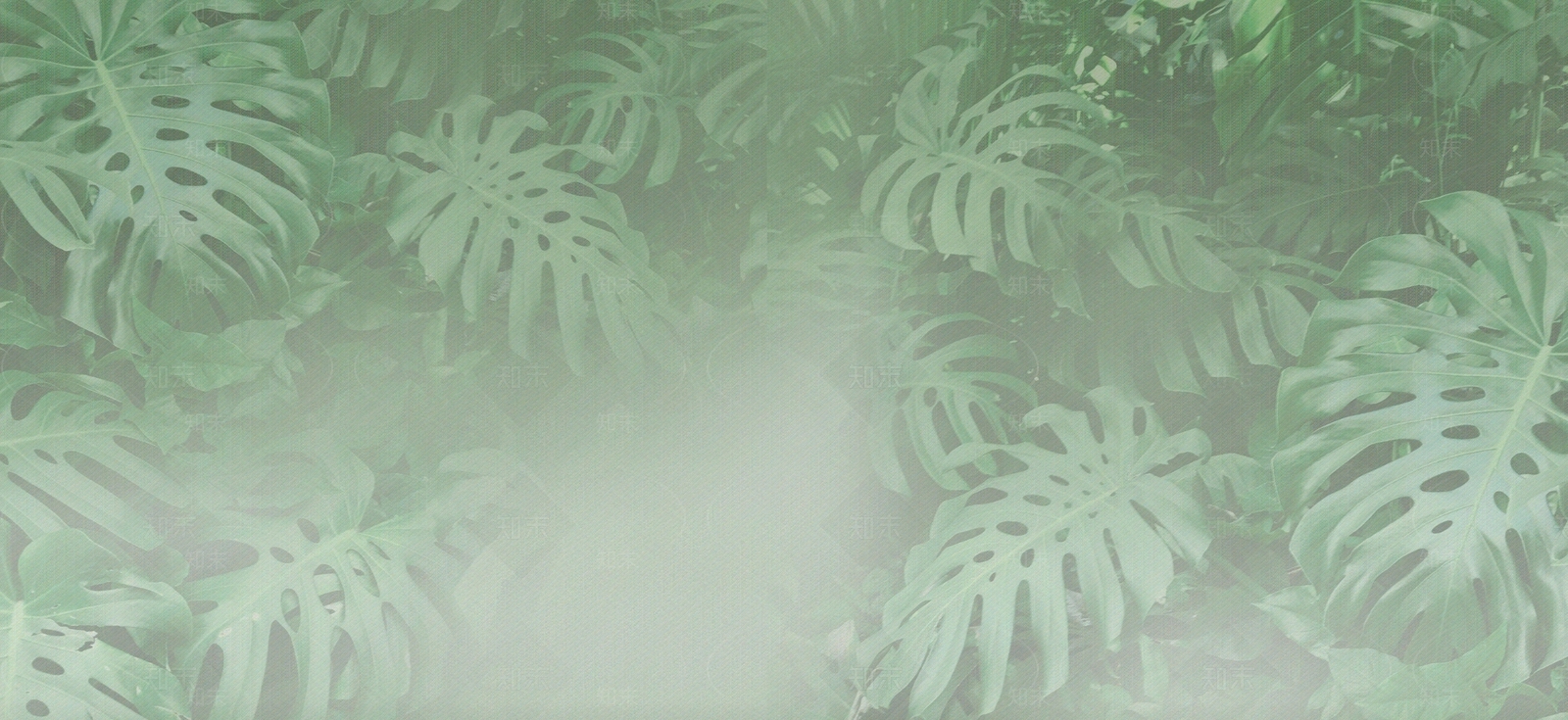 艺术玻璃绿植墙贴图下载【ID:1161818629】