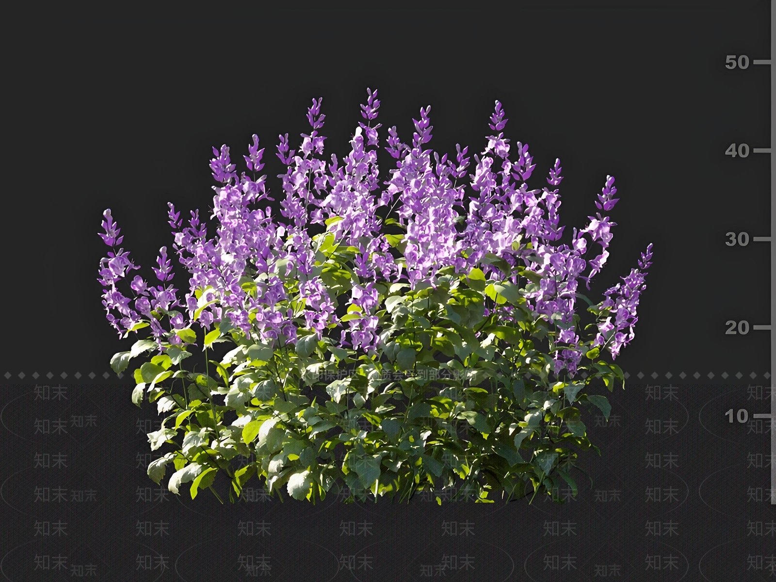 现代花卉3D模型下载【ID:1161829911】