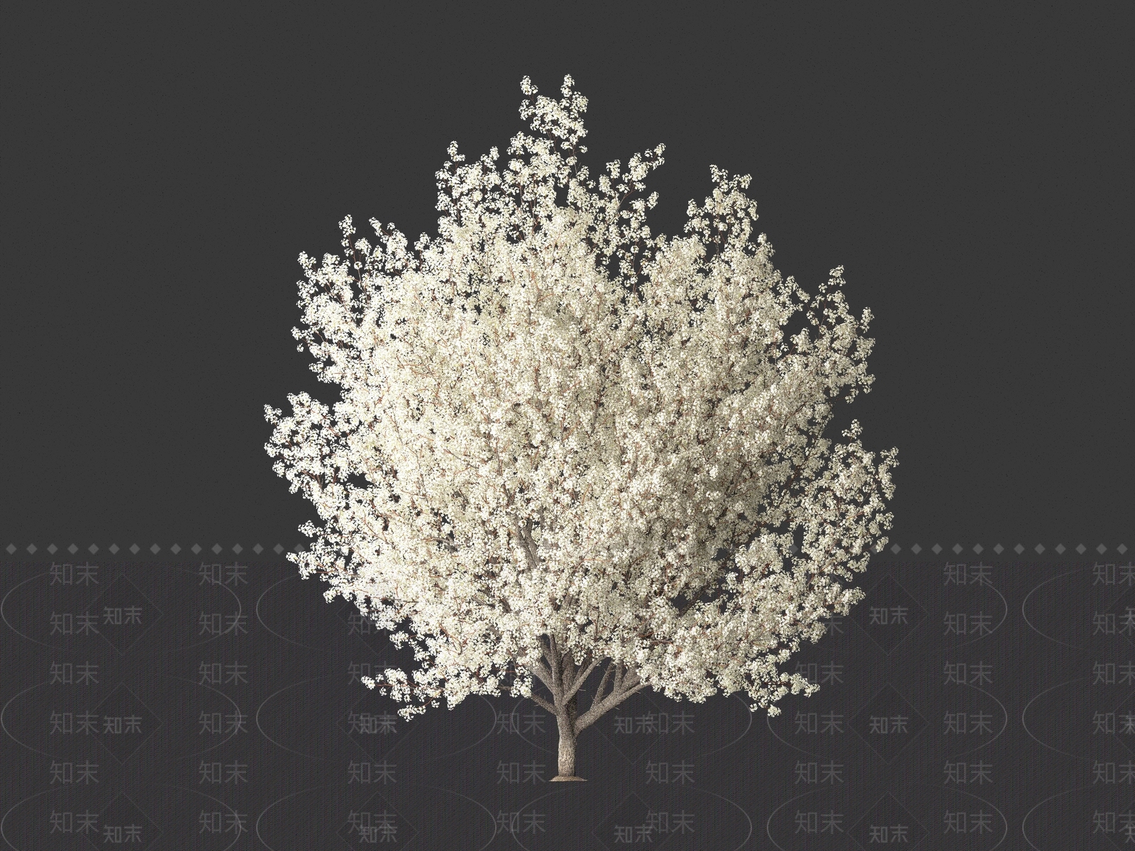 豆梨树3D模型下载【ID:1161855637】