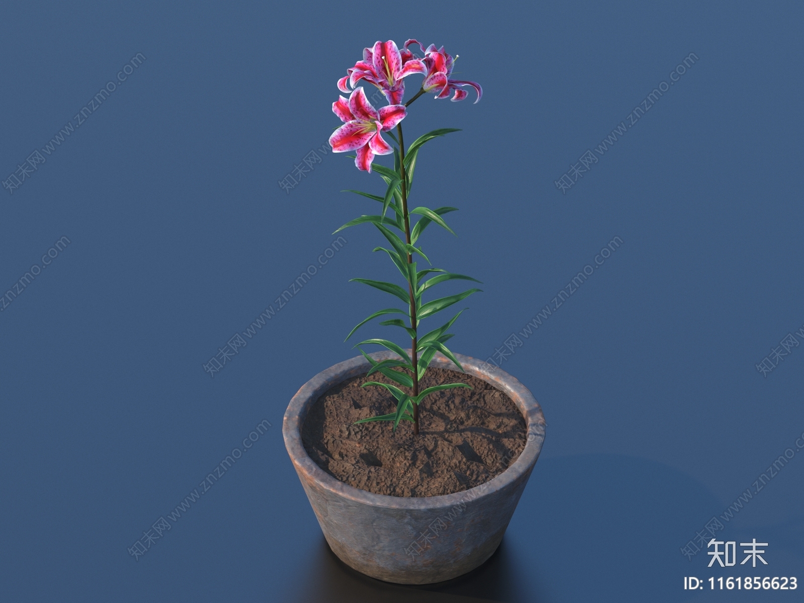 盆栽花卉3D模型下载【ID:1161856623】