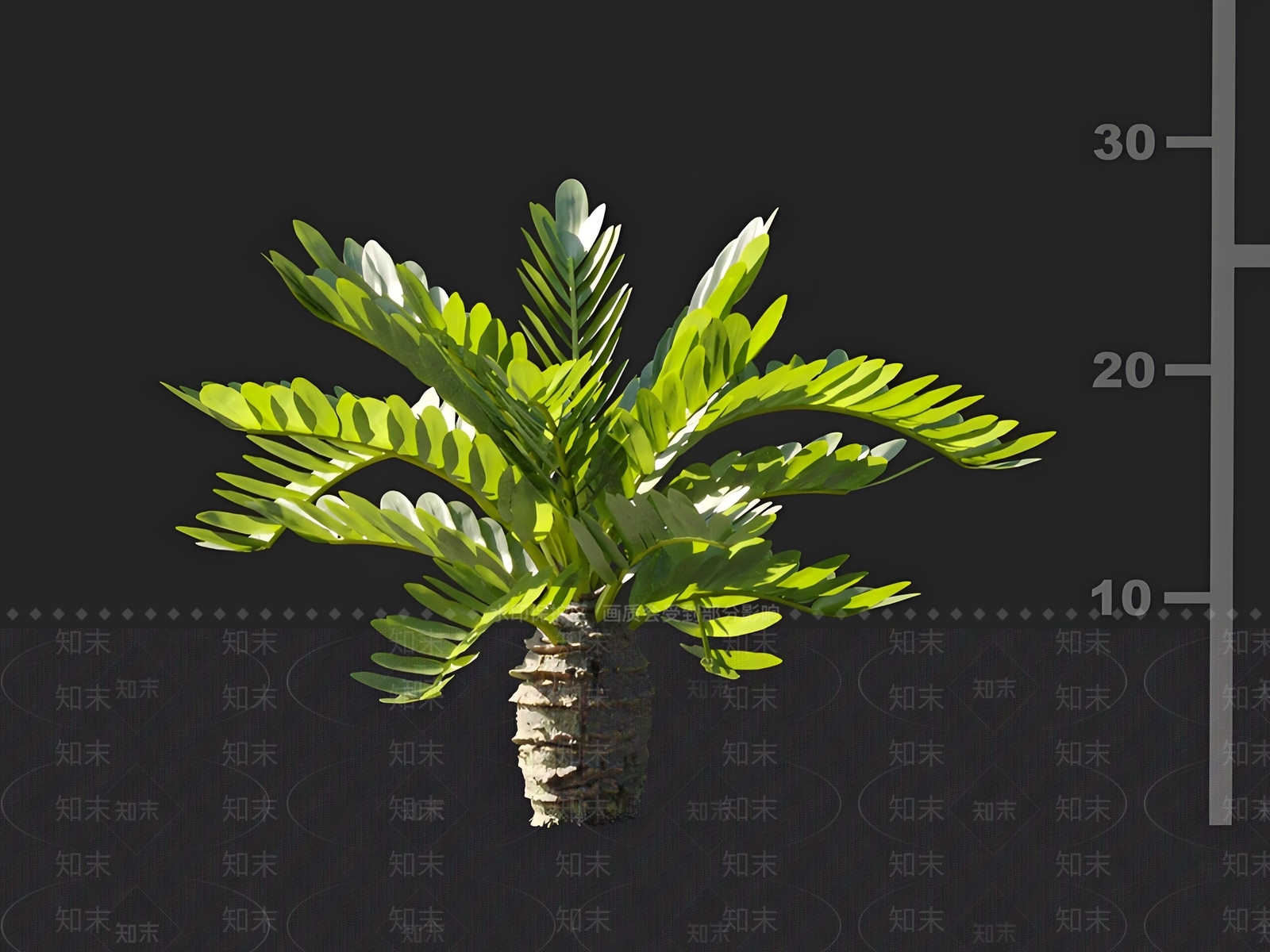 灌木3D模型下载【ID:1161857273】