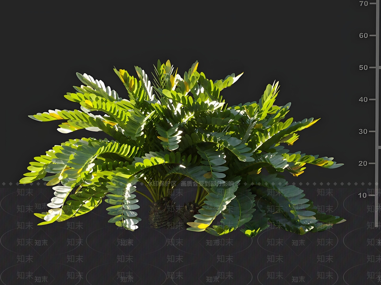 灌木3D模型下载【ID:1161857313】