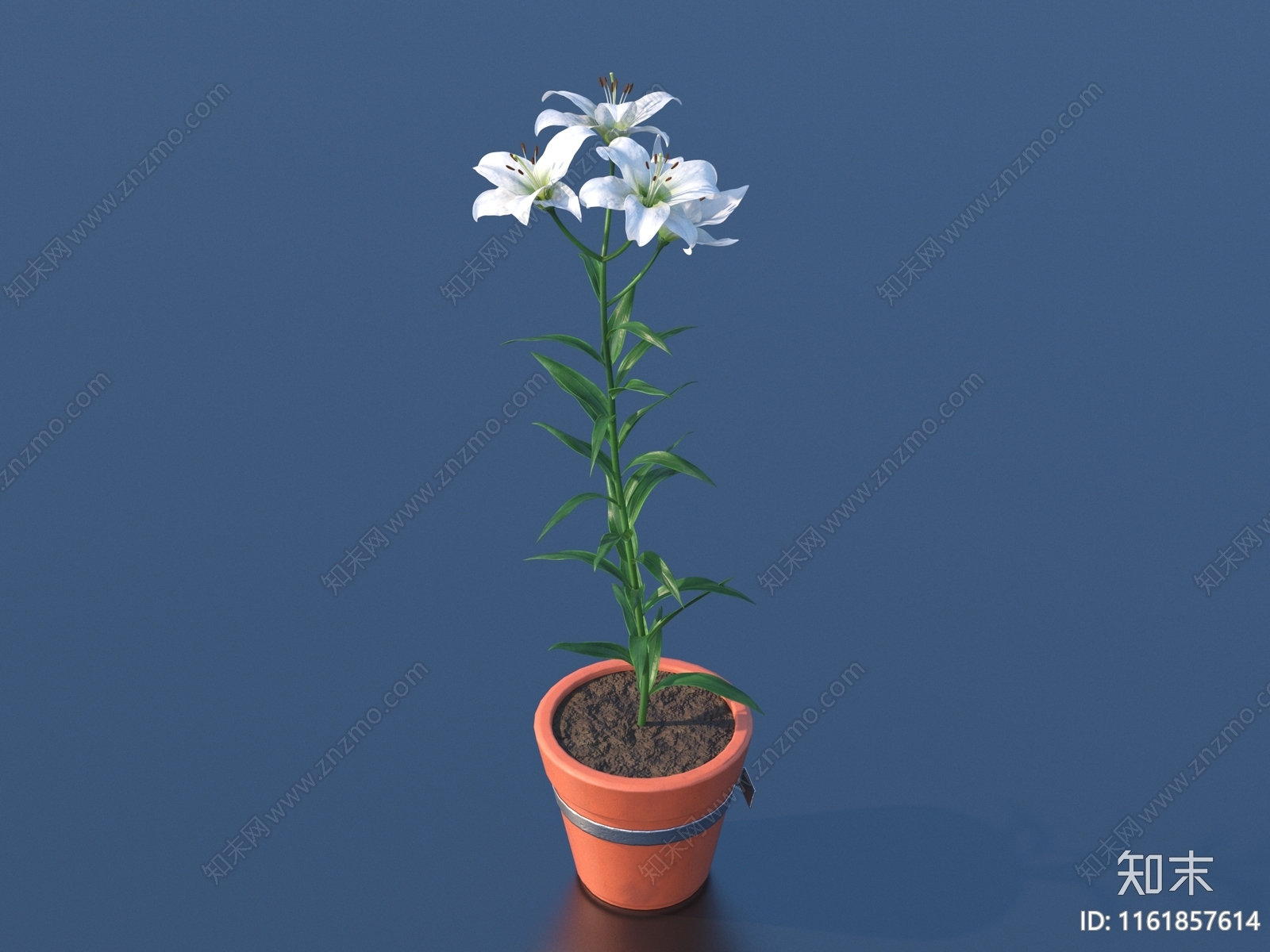 盆栽花卉3D模型下载【ID:1161857614】