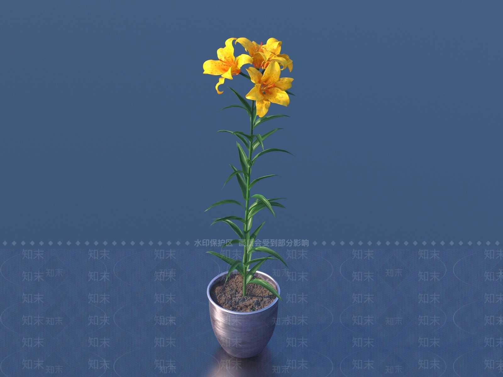 盆栽花卉3D模型下载【ID:1161859608】