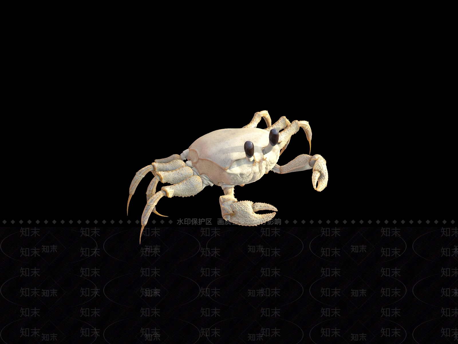 爬行类动物SU模型下载【ID:1161860313】