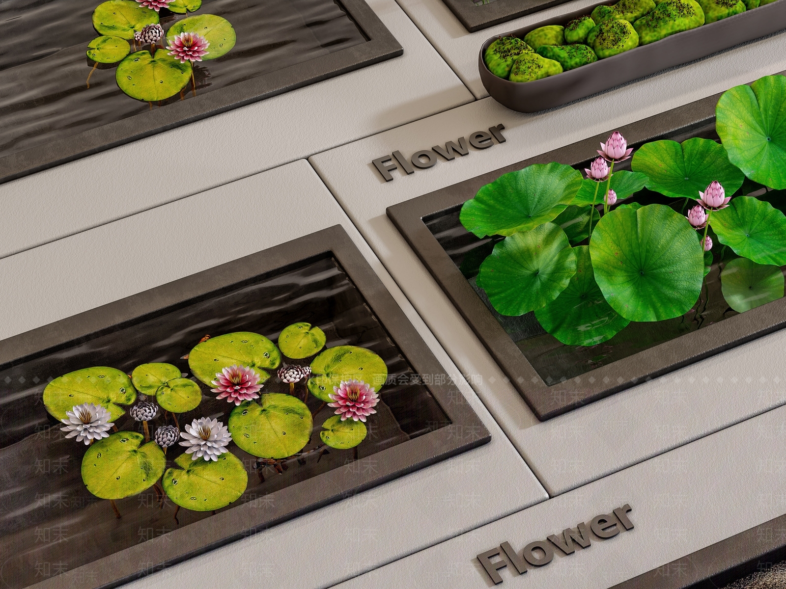 现代荷花3D模型下载【ID:1161861828】