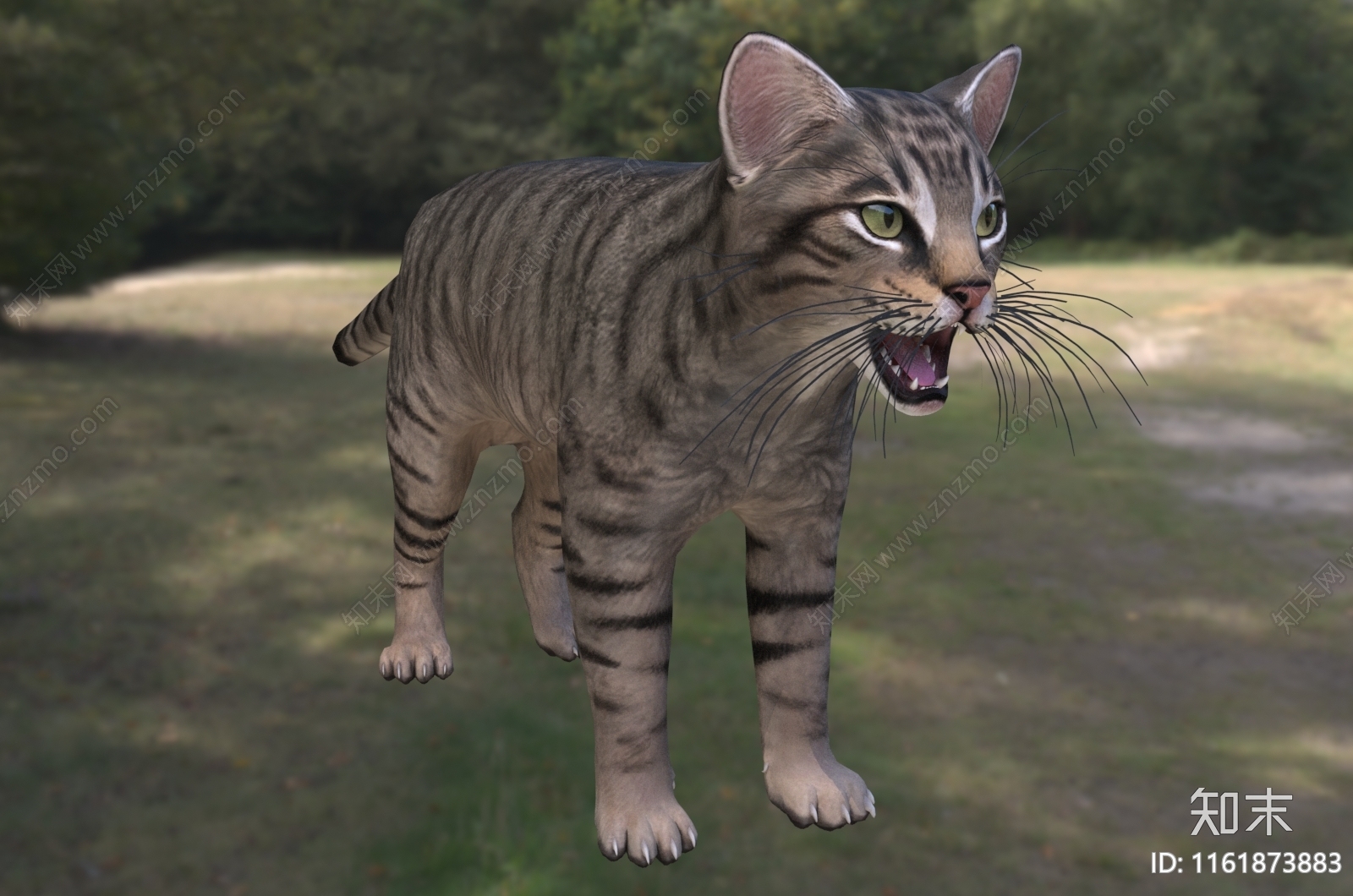 欧洲野猫3D模型下载【ID:1161873883】