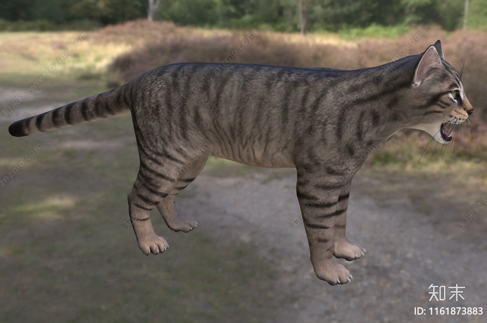 欧洲野猫3D模型下载【ID:1161873883】