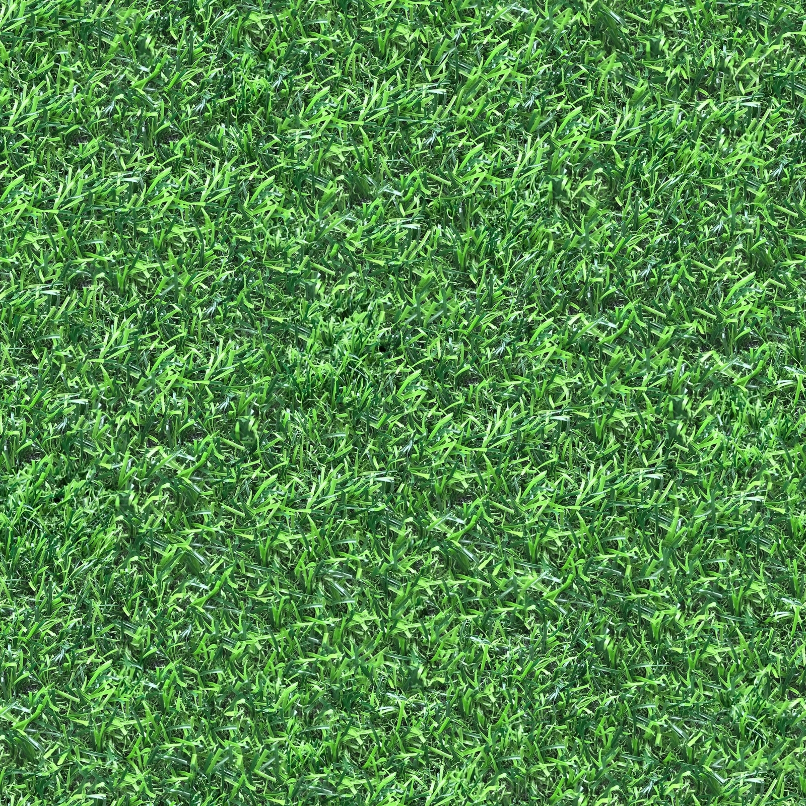 无缝仿真草坪草皮贴图下载【ID:1161877867】