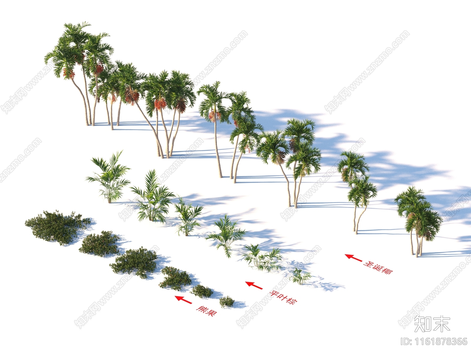 平叶棕3D模型下载【ID:1161878366】