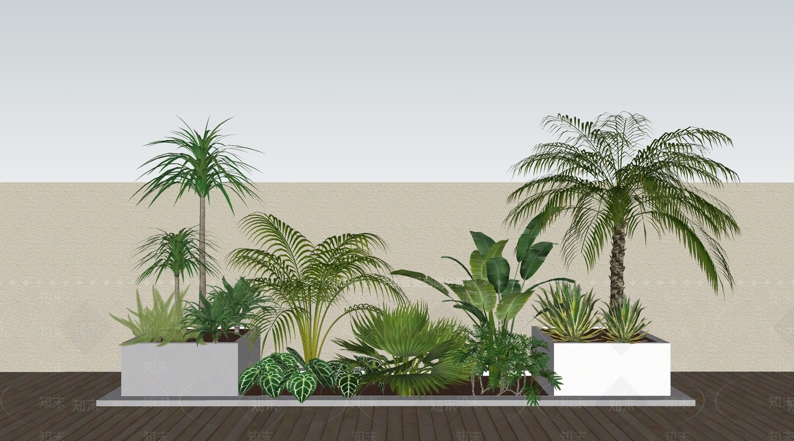 热带植物组合SU模型下载【ID:1161886278】